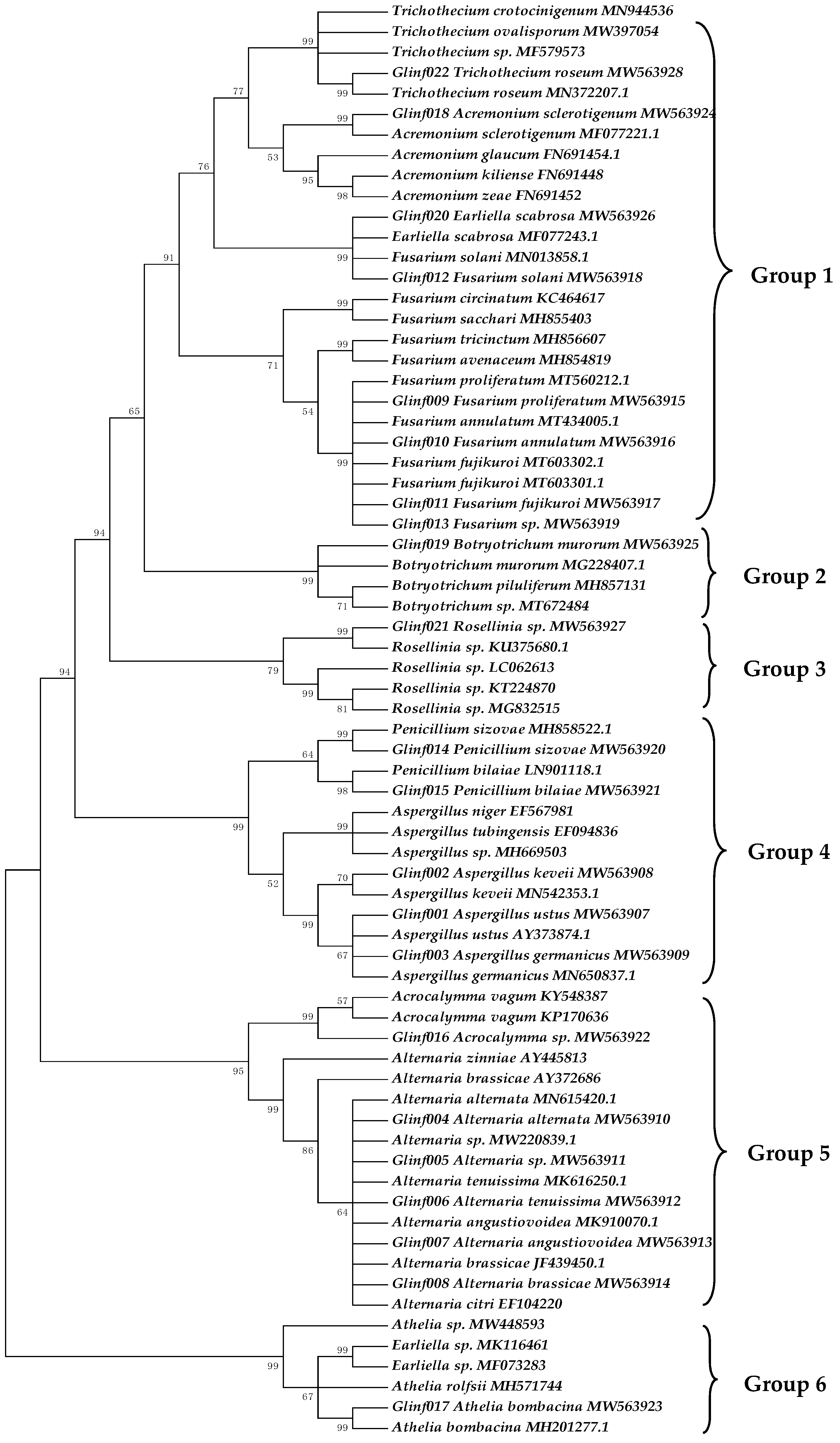 Microbiolres 12 00060 g001
