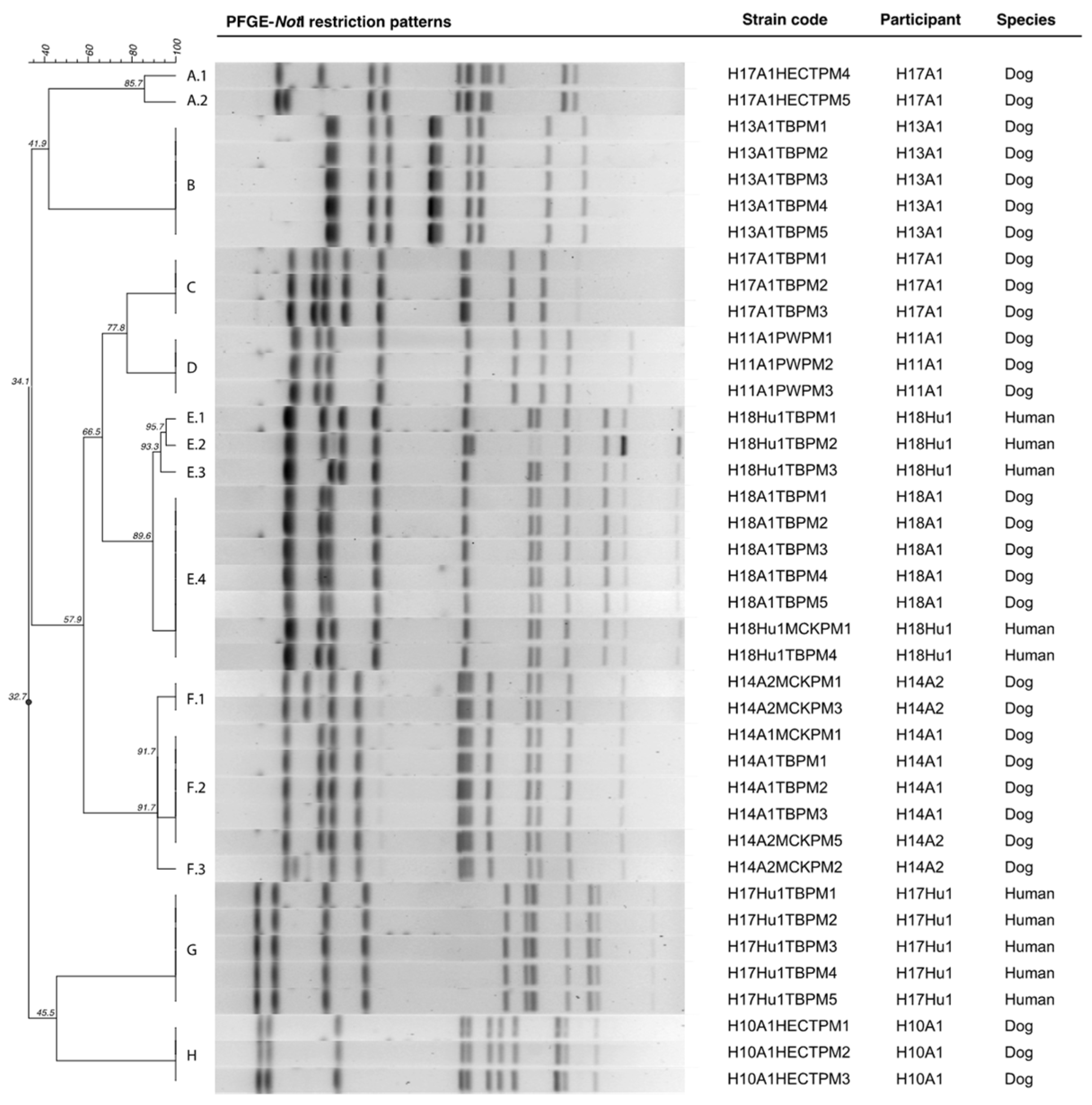 Microbiolres 13 00003 g002