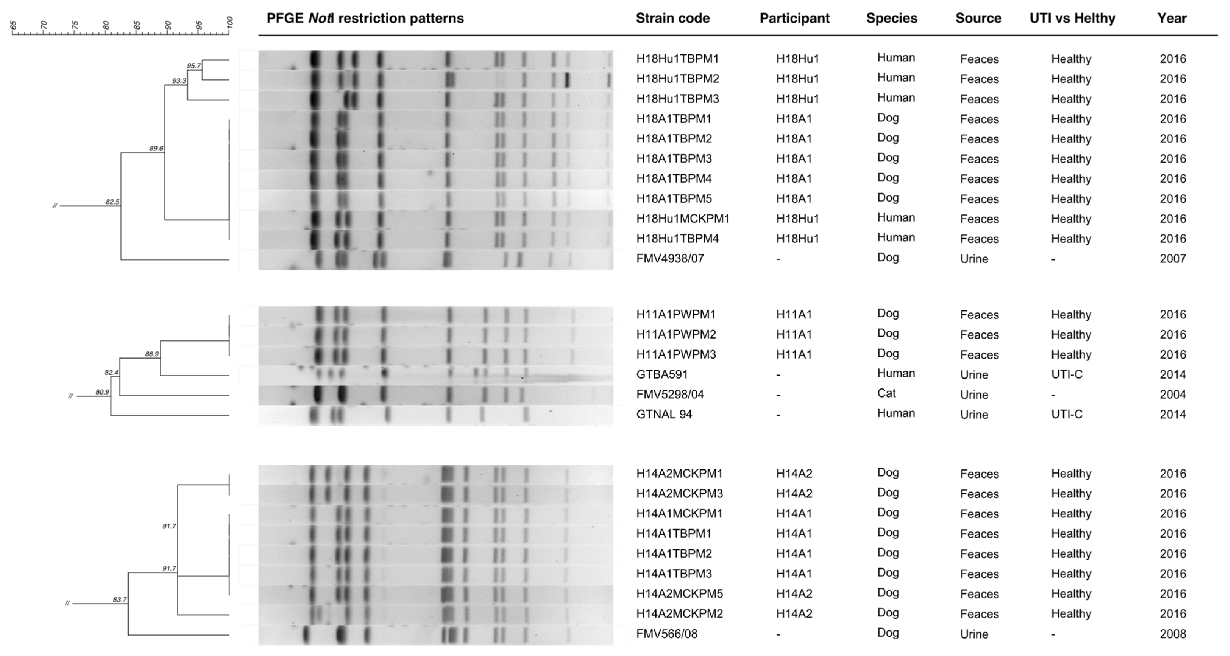 Microbiolres 13 00003 g003
