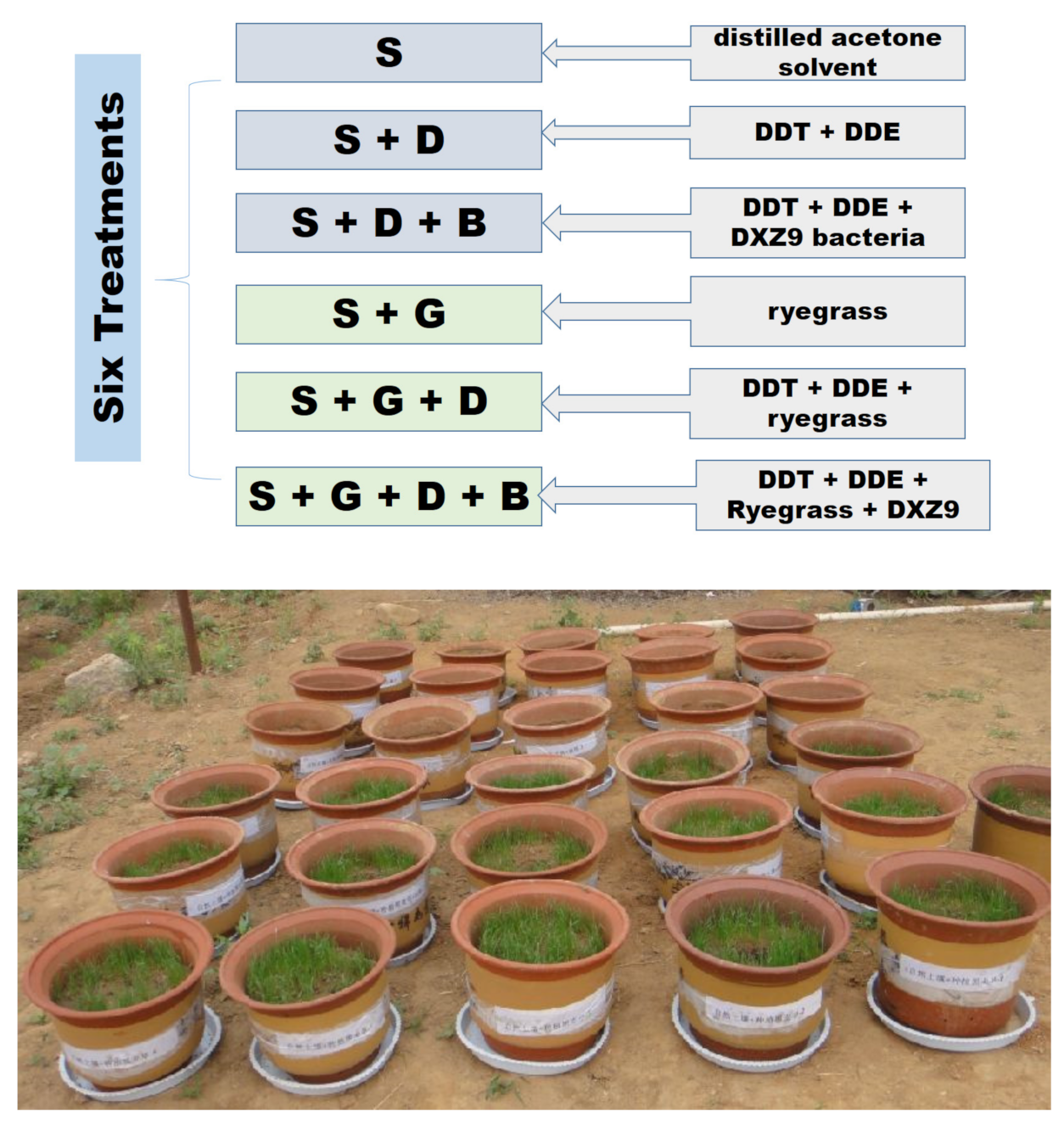 Microbiolres 13 00005 g001