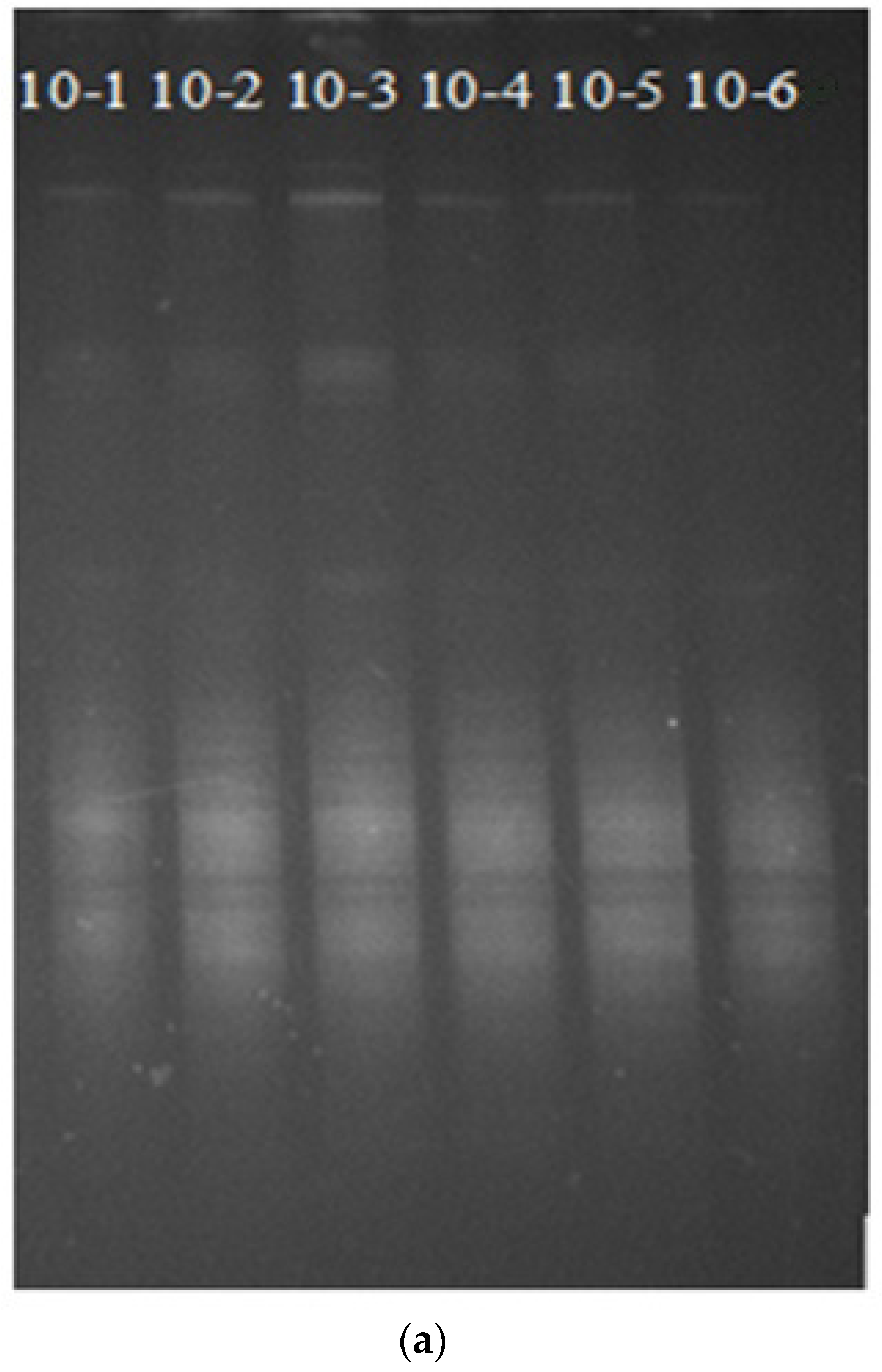 Microbiolres 13 00005 g004a