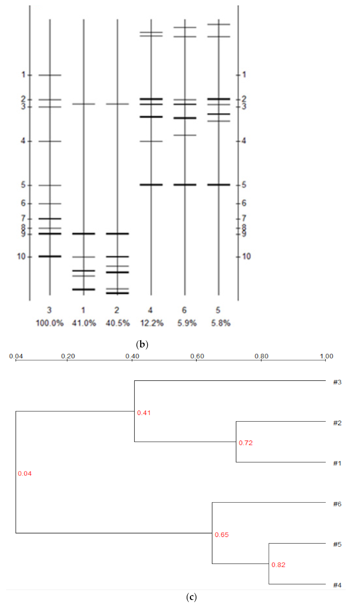 Microbiolres 13 00005 g004b