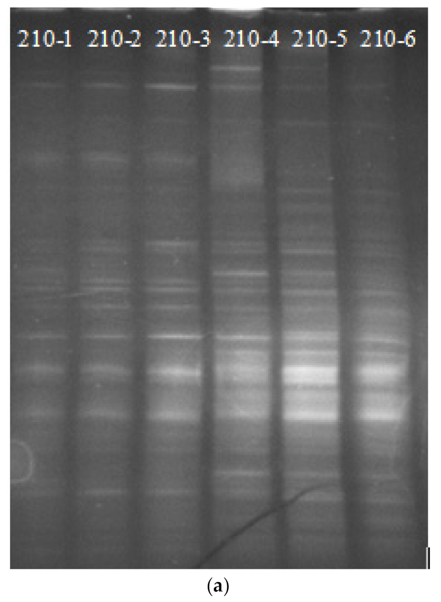 Microbiolres 13 00005 g006a