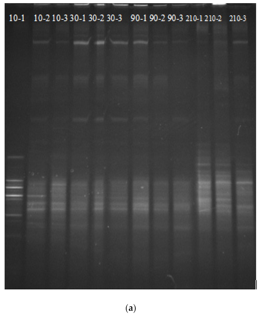 Microbiolres 13 00005 g007a