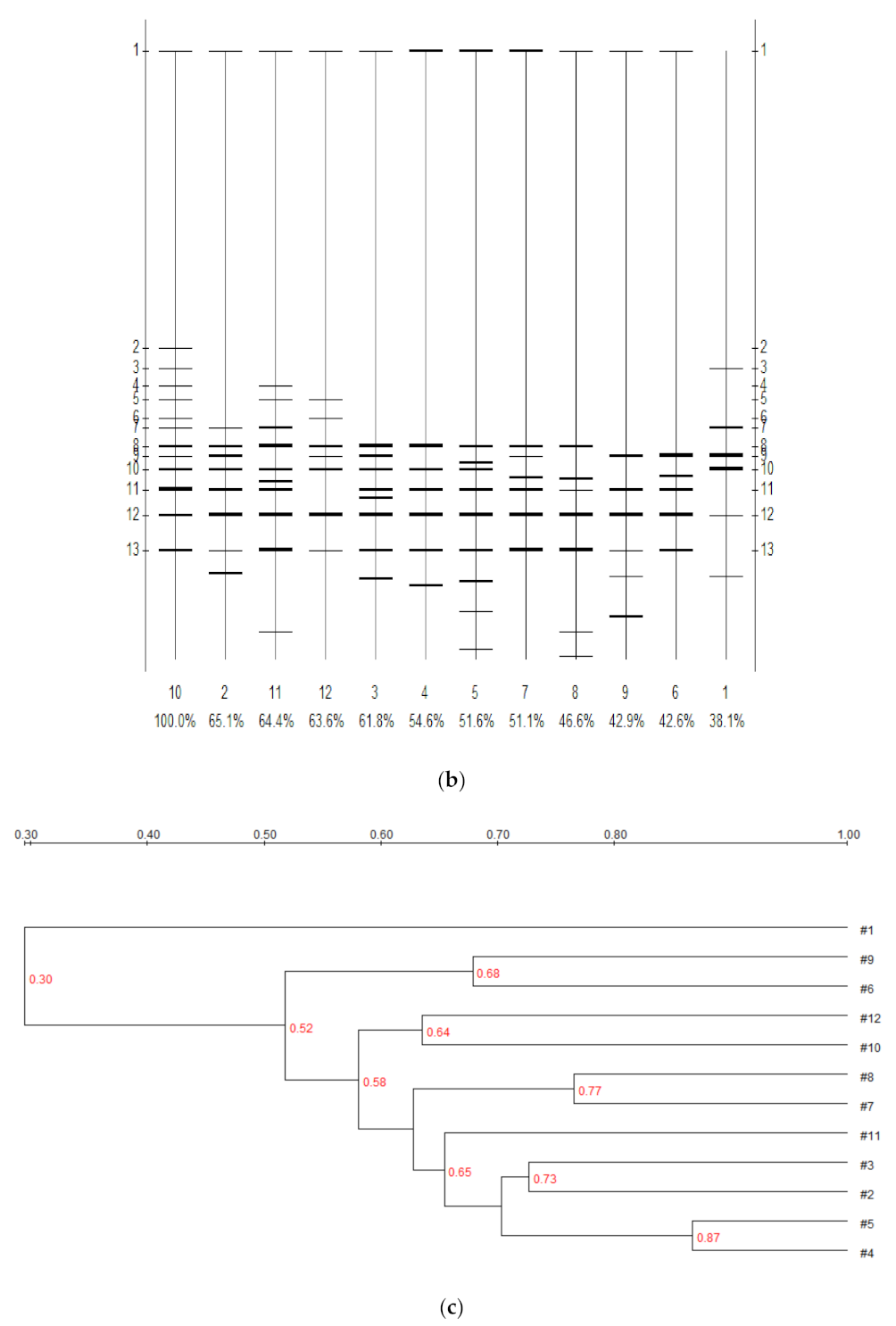 Microbiolres 13 00005 g007b