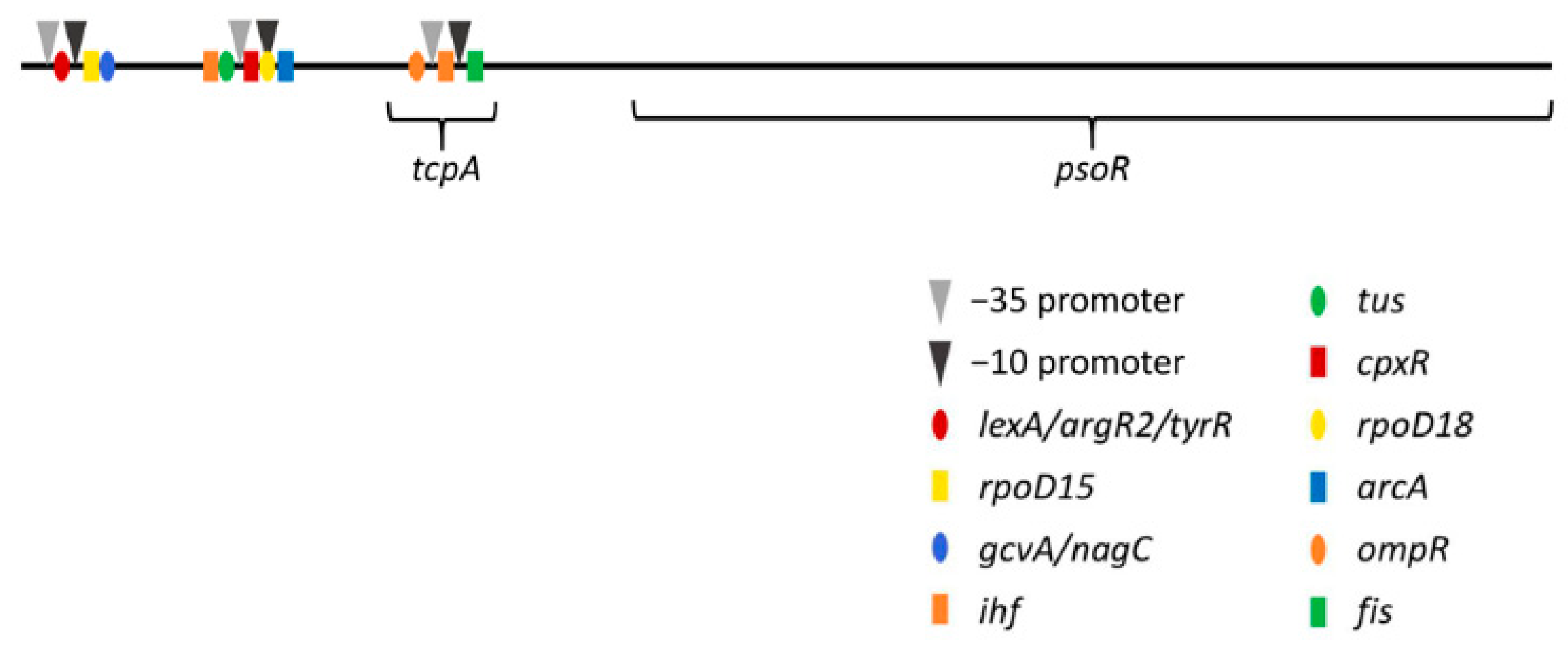 Microbiolres 13 00014 g005