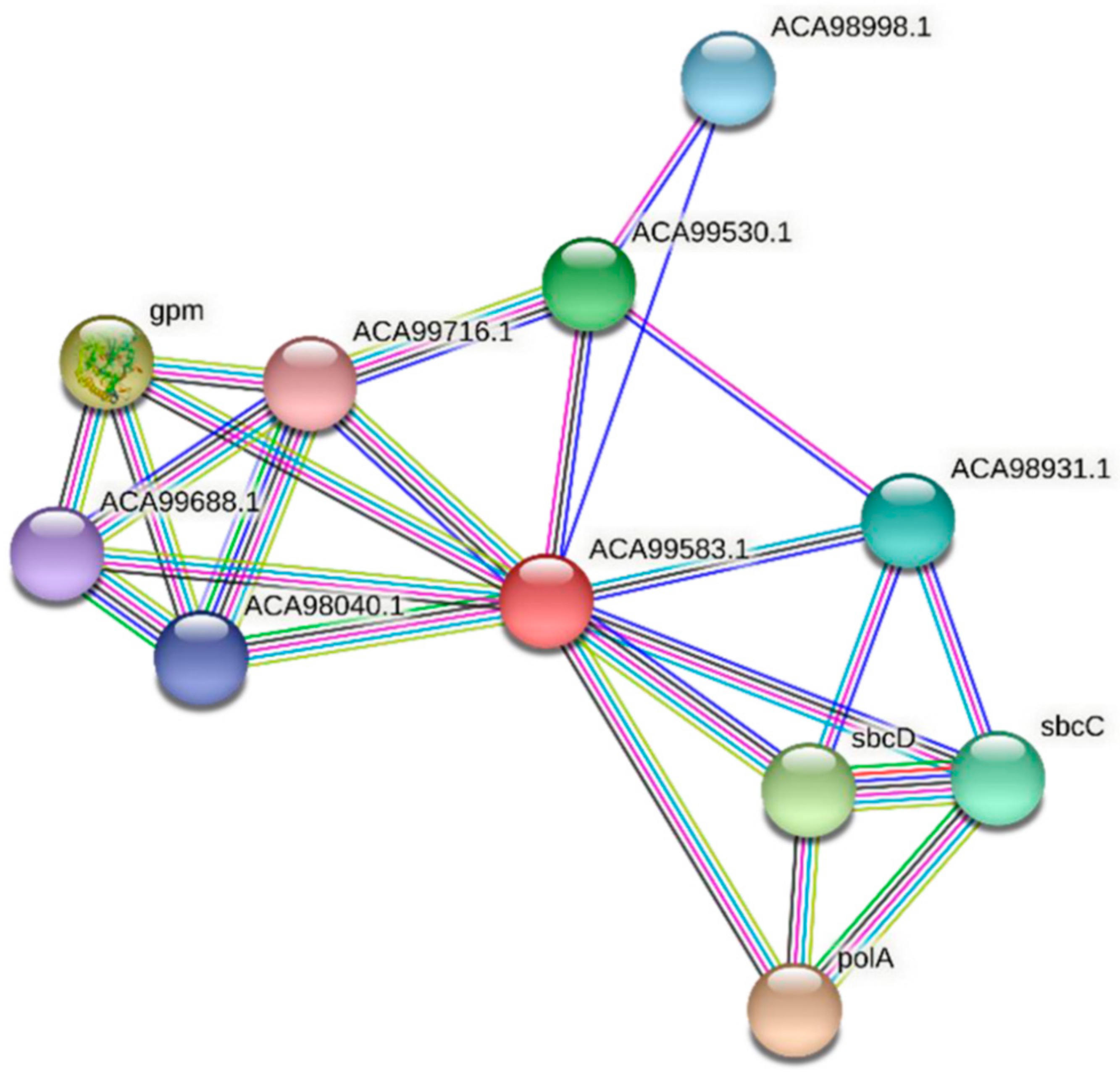Microbiolres 13 00014 g008