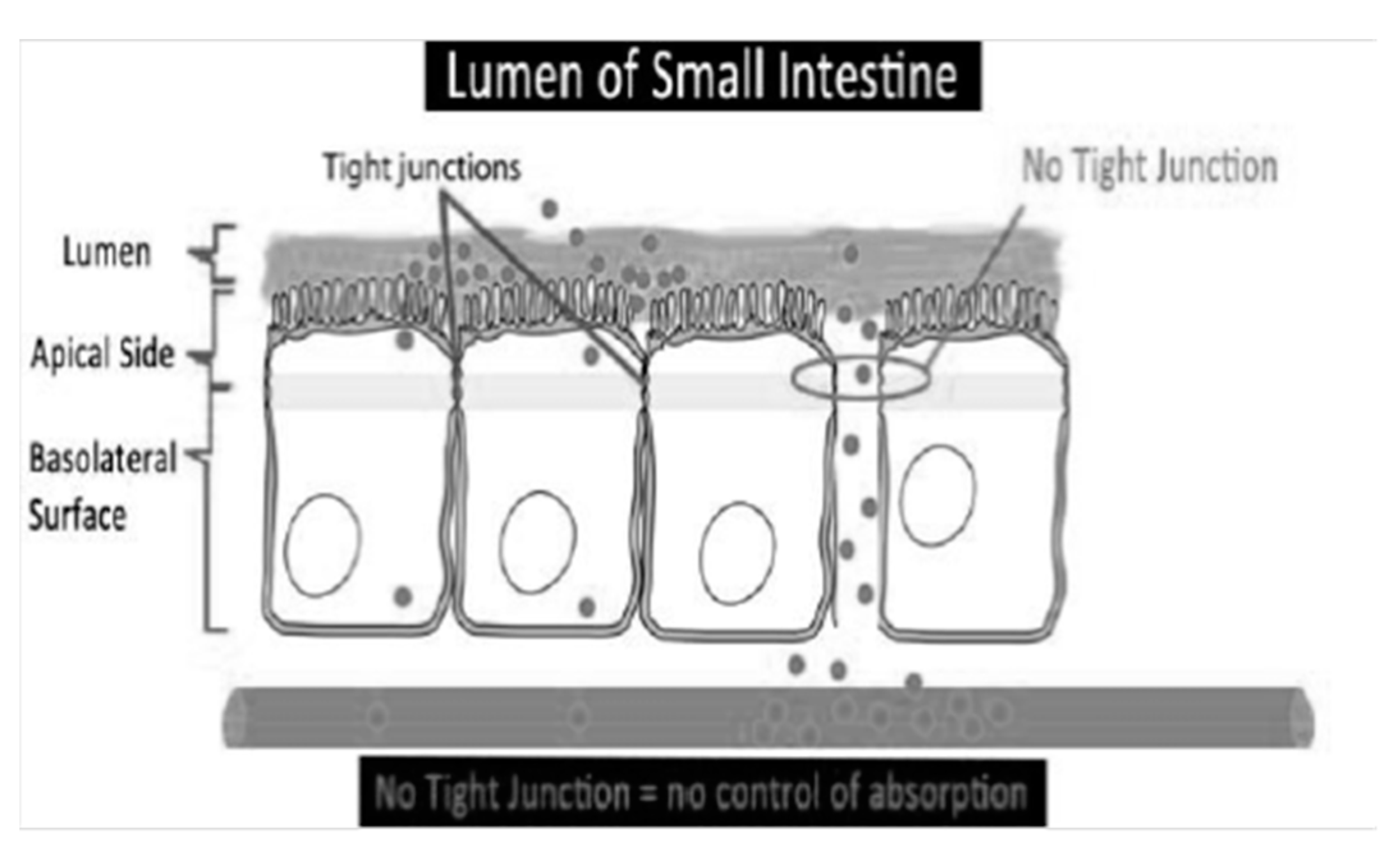 Microbiolres 13 00015 g003