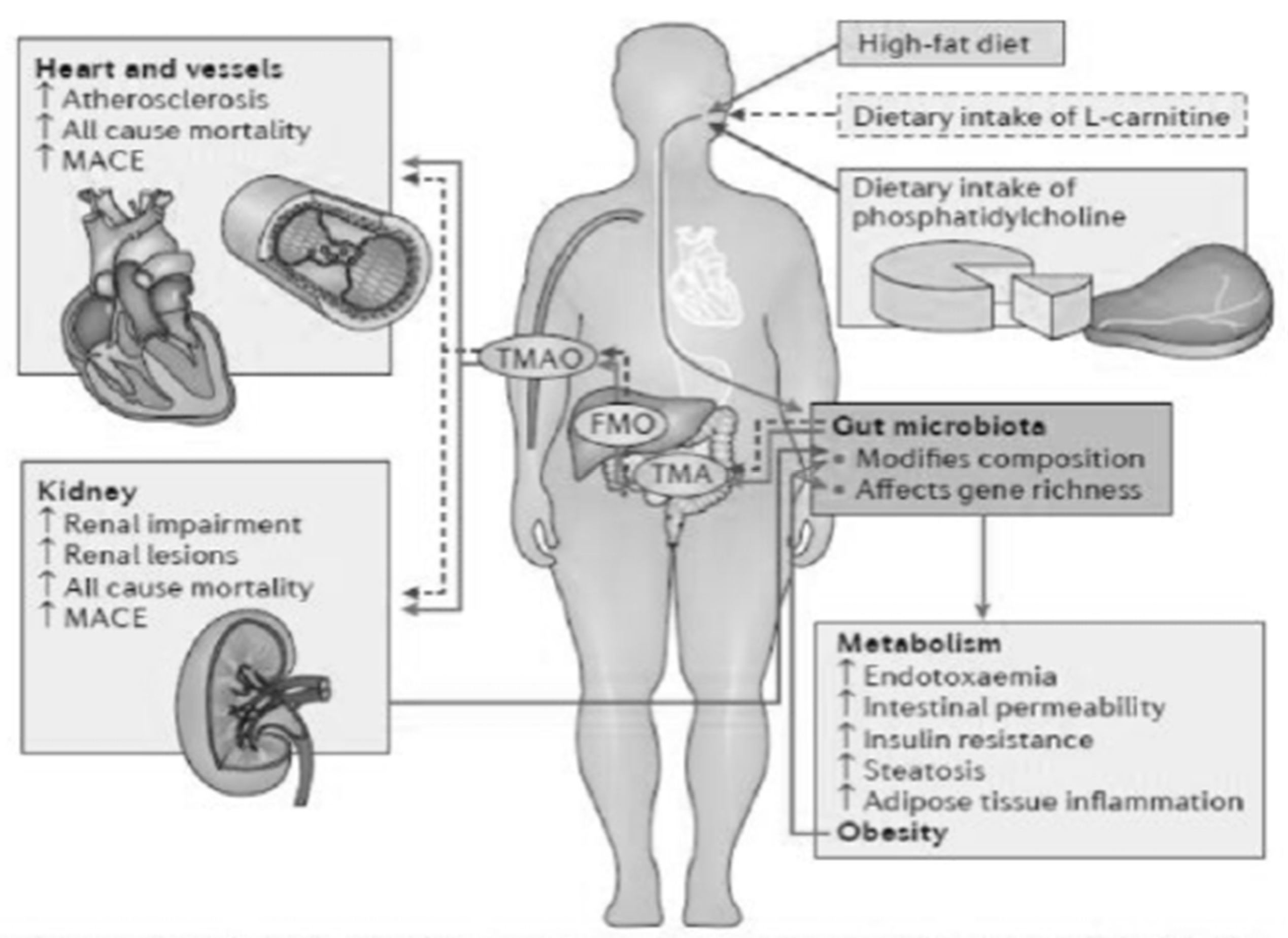 Microbiolres 13 00015 g004