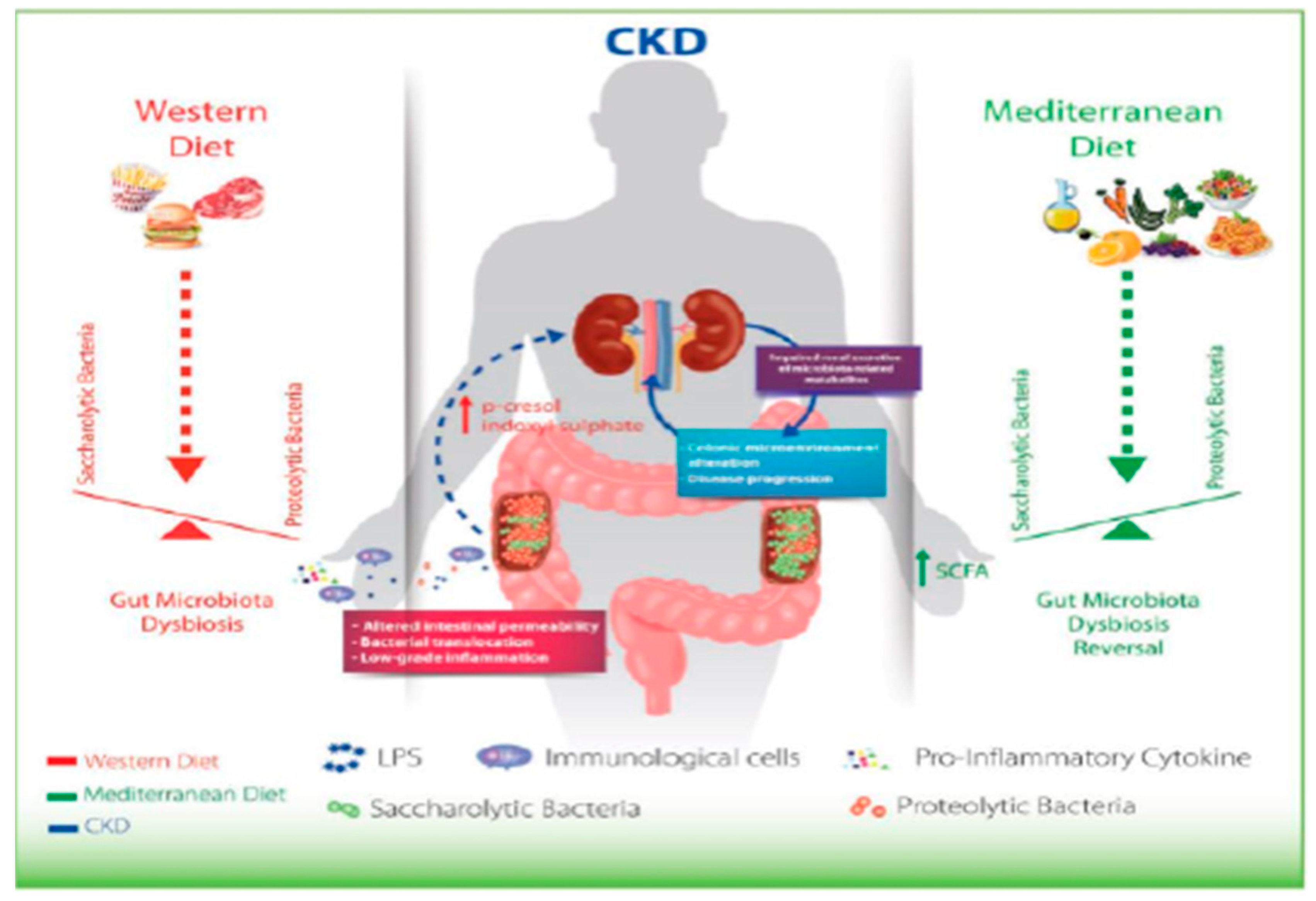 Microbiolres 13 00015 g006