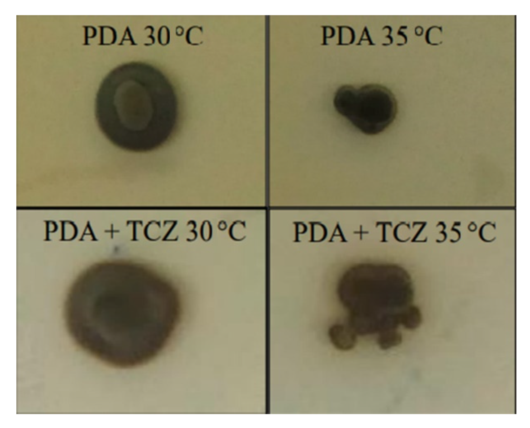 Microbiolres 13 00017 g001