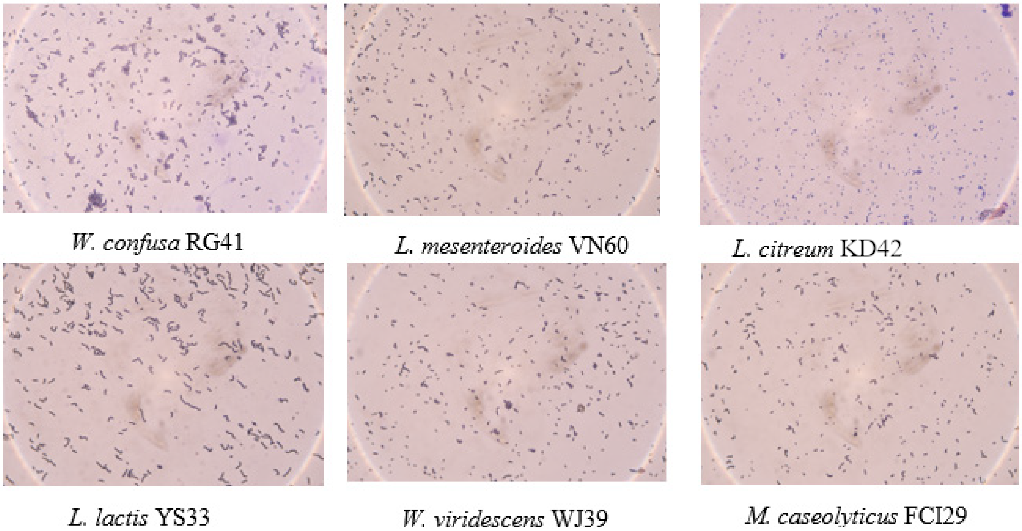 Microbiolres 13 00022 g002