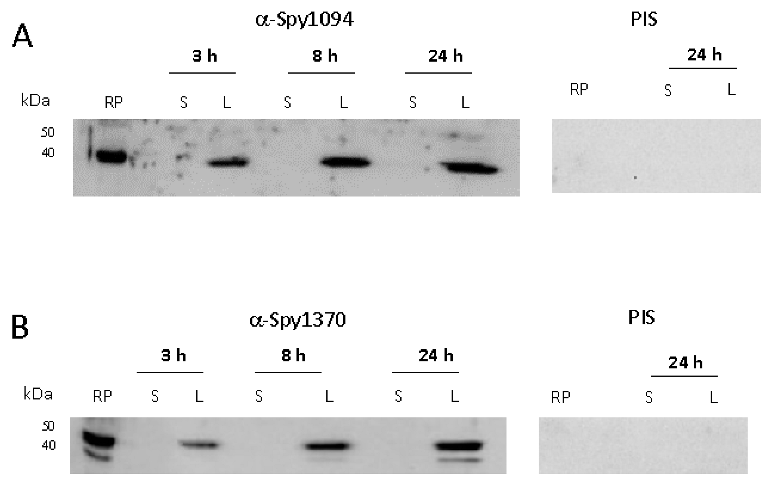 Microbiolres 13 00025 g003