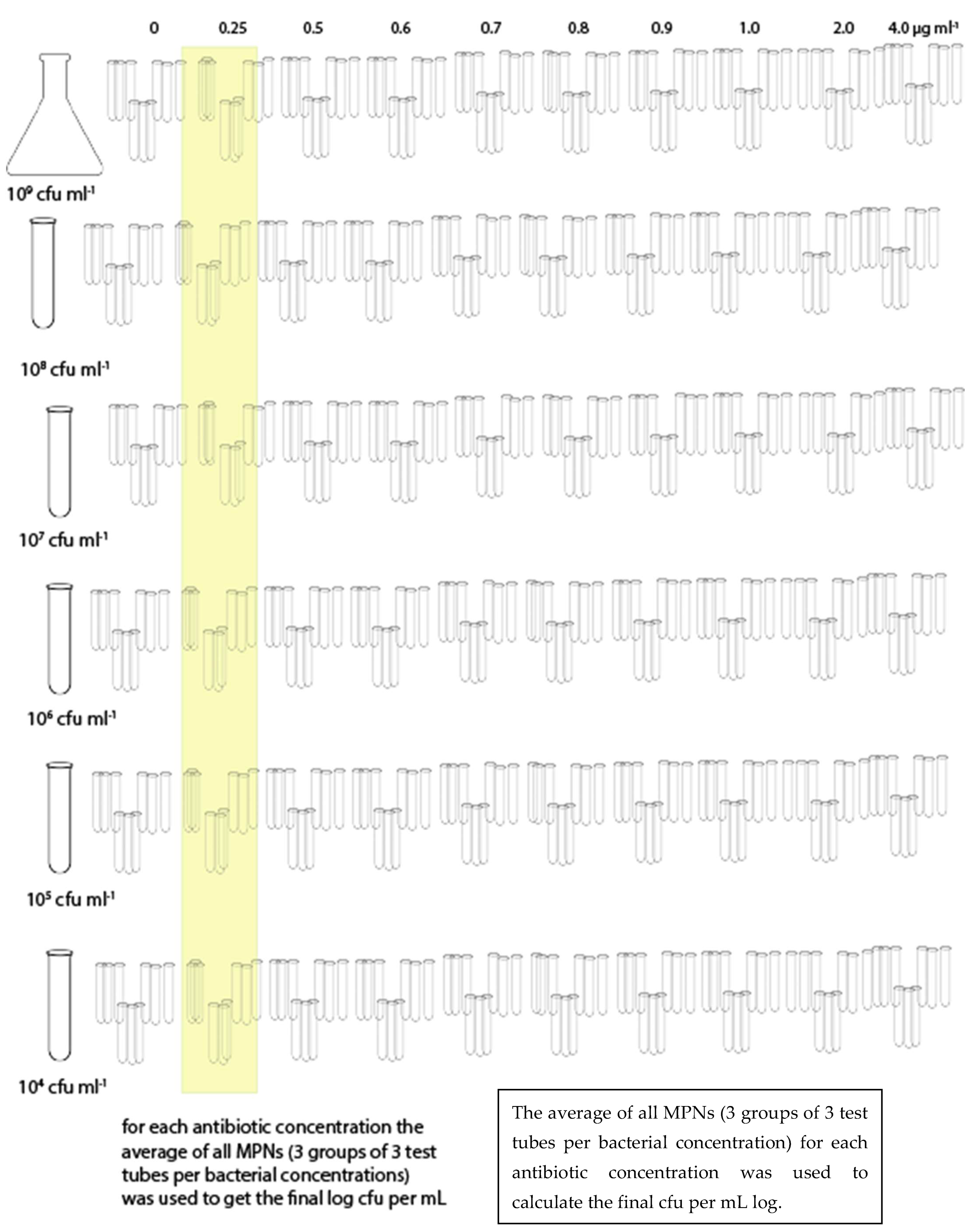Microbiolres 13 00026 g001
