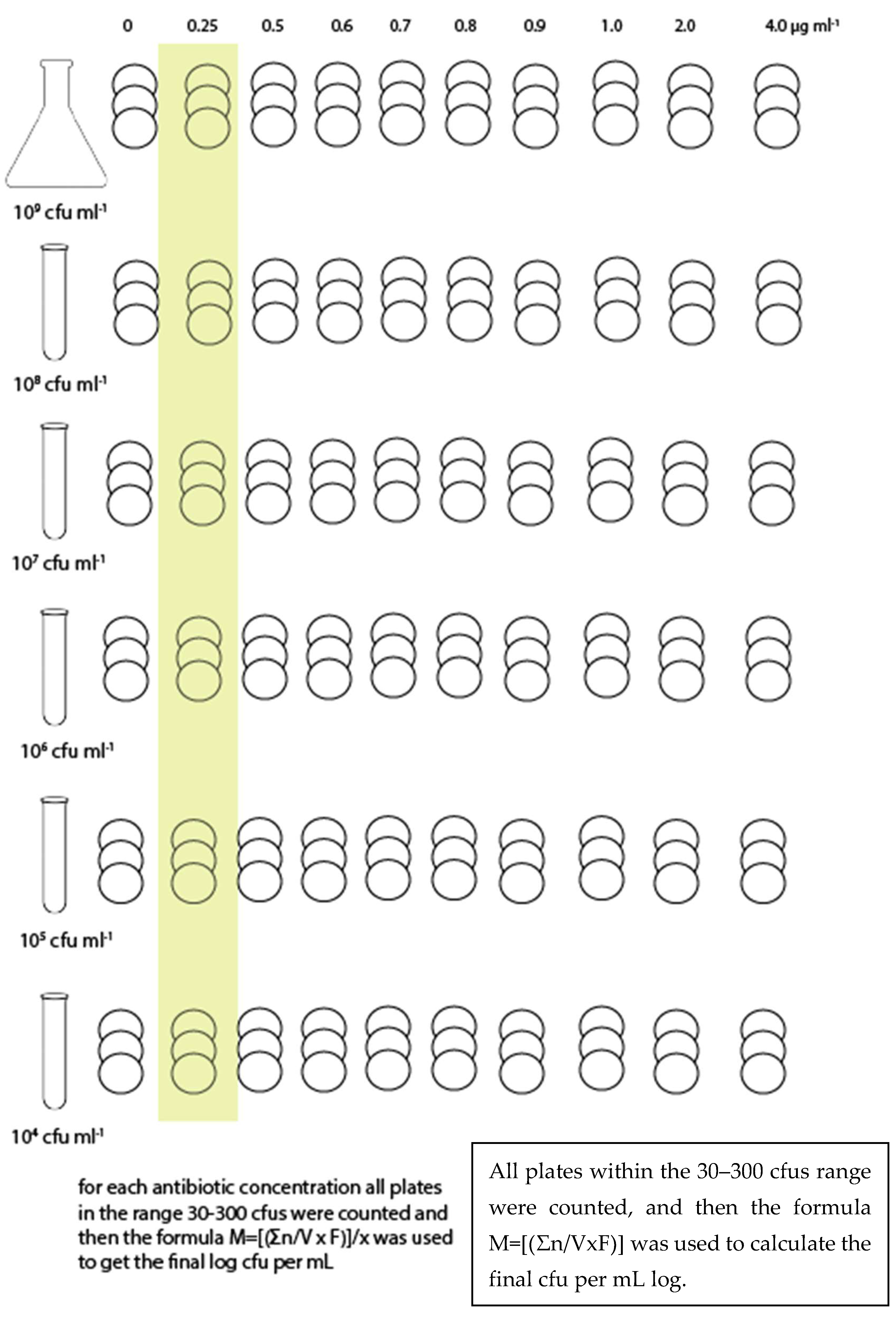 Microbiolres 13 00026 g002