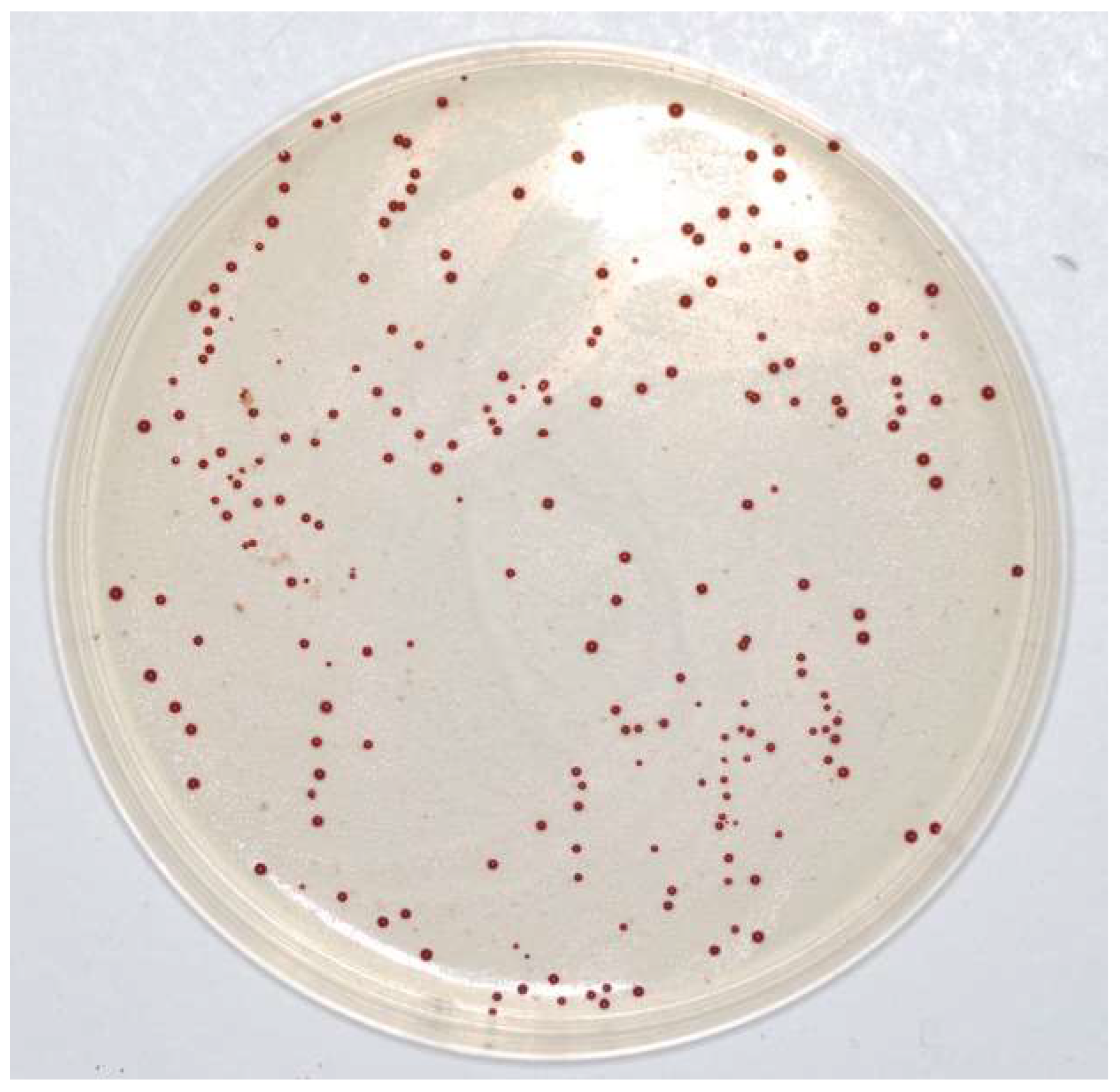 Microbiolres 13 00026 g005