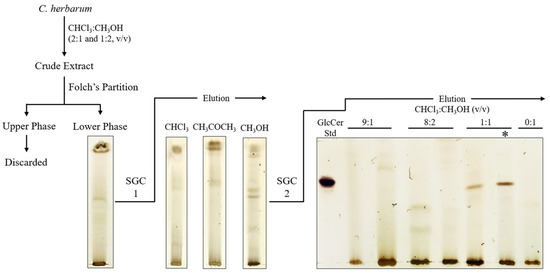 Microbiolres 13 00028 g001