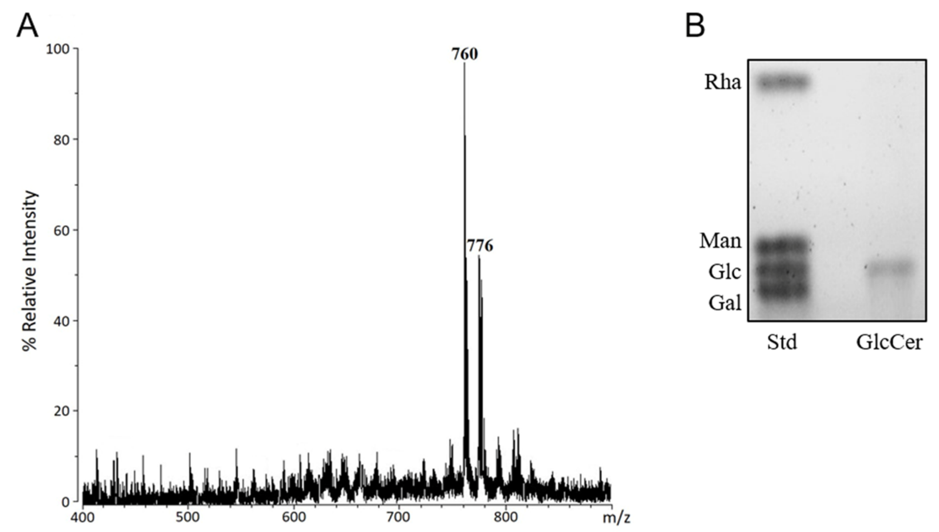 Microbiolres 13 00028 g002 Microbiolres 13 00028 g002