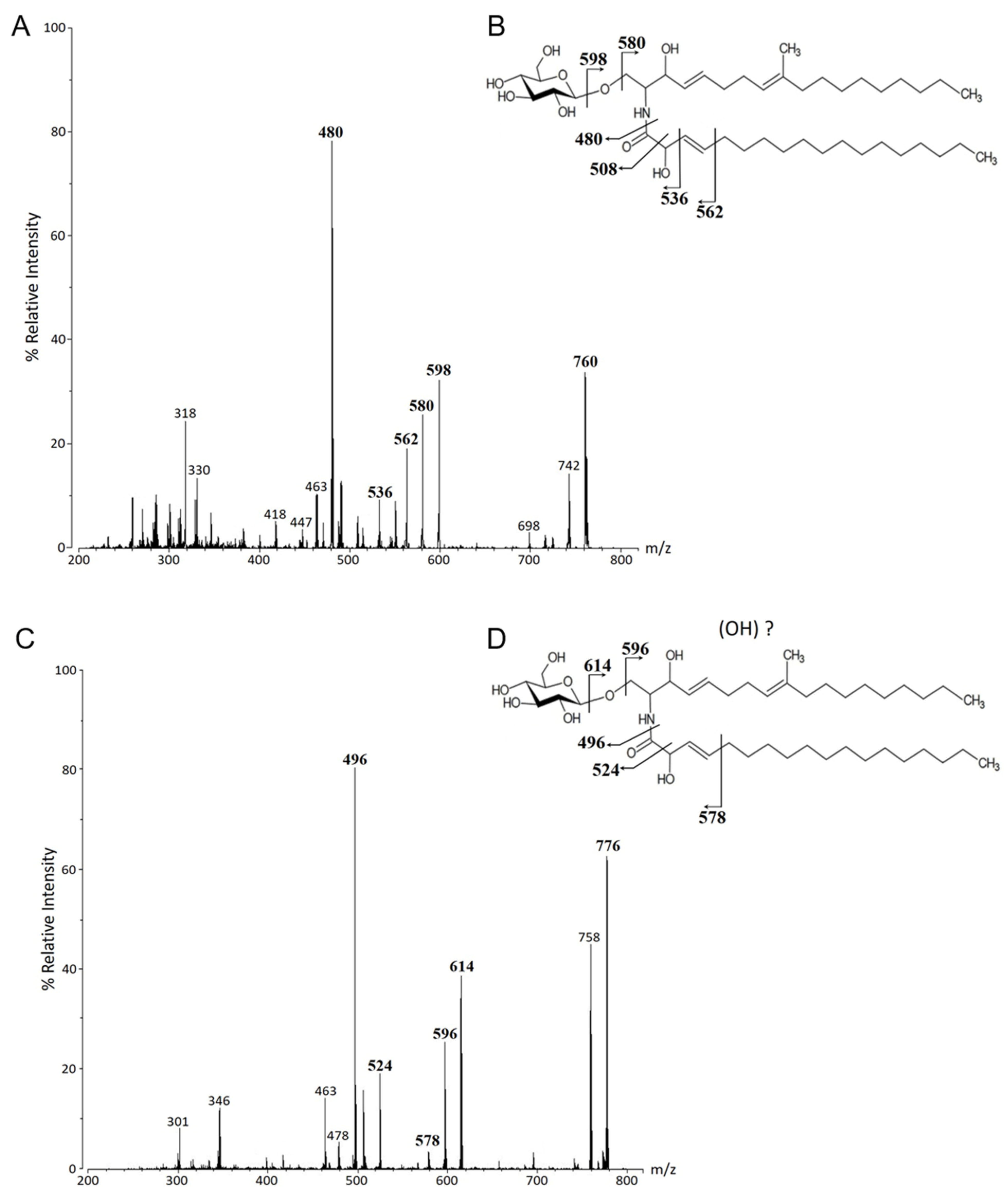 Microbiolres 13 00028 g003 Microbiolres 13 00028 g003