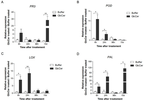 Microbiolres 13 00028 g007