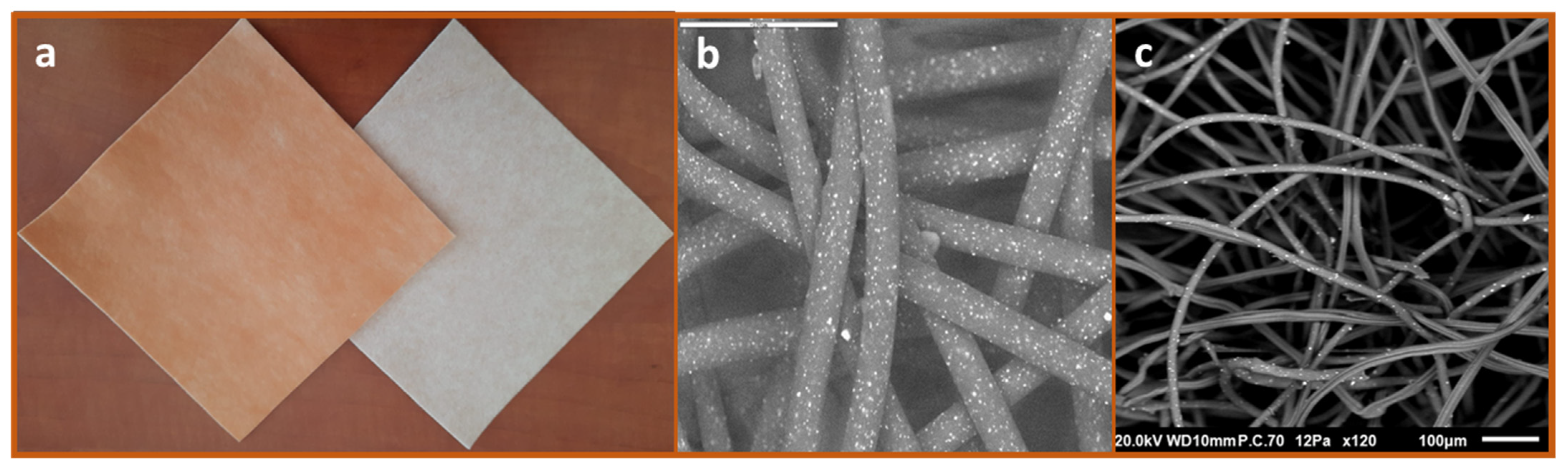 Microbiolres 13 00029 g001