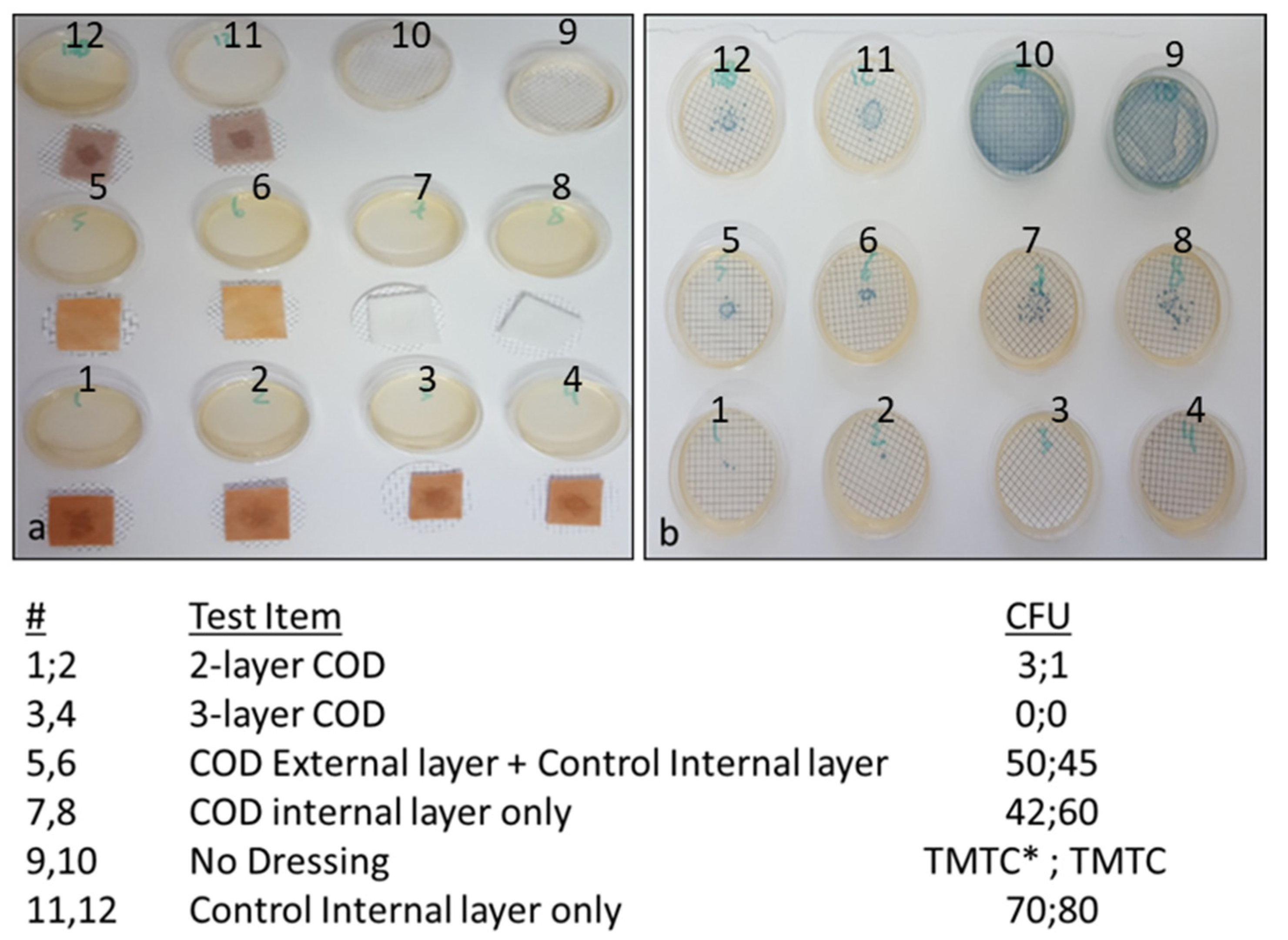 Microbiolres 13 00029 g005