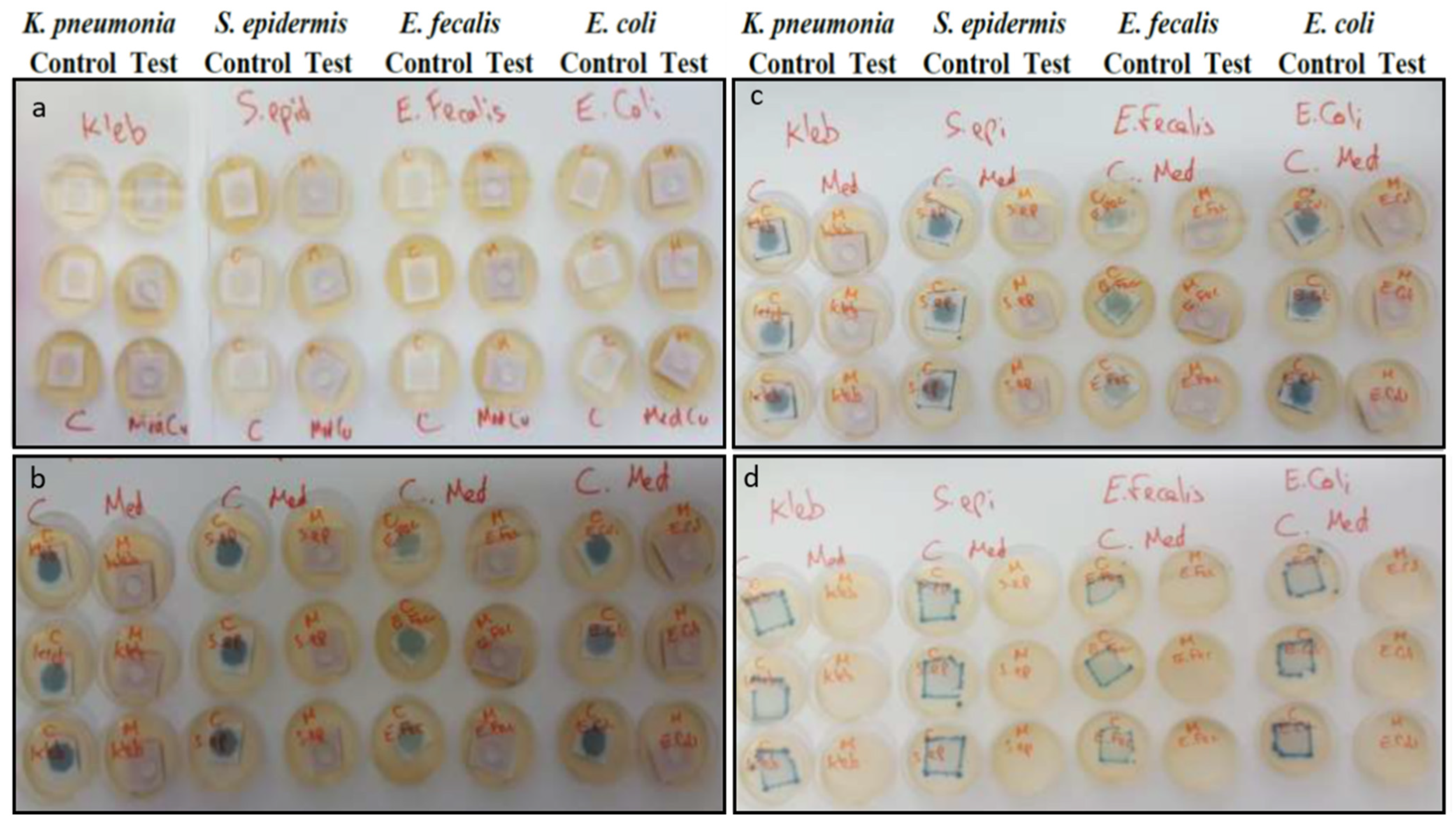 Microbiolres 13 00029 g006