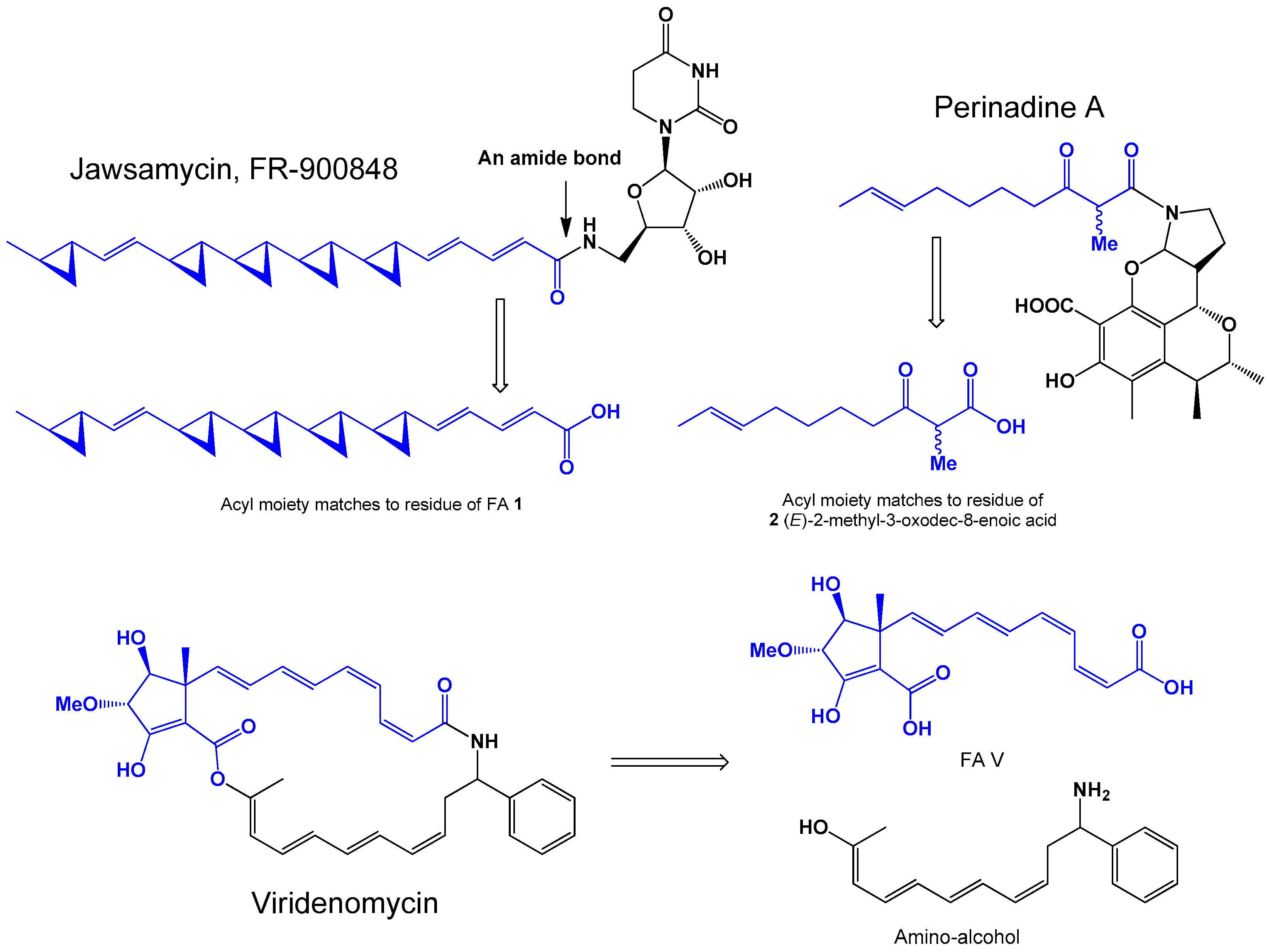 Microbiolres 13 00030 g001