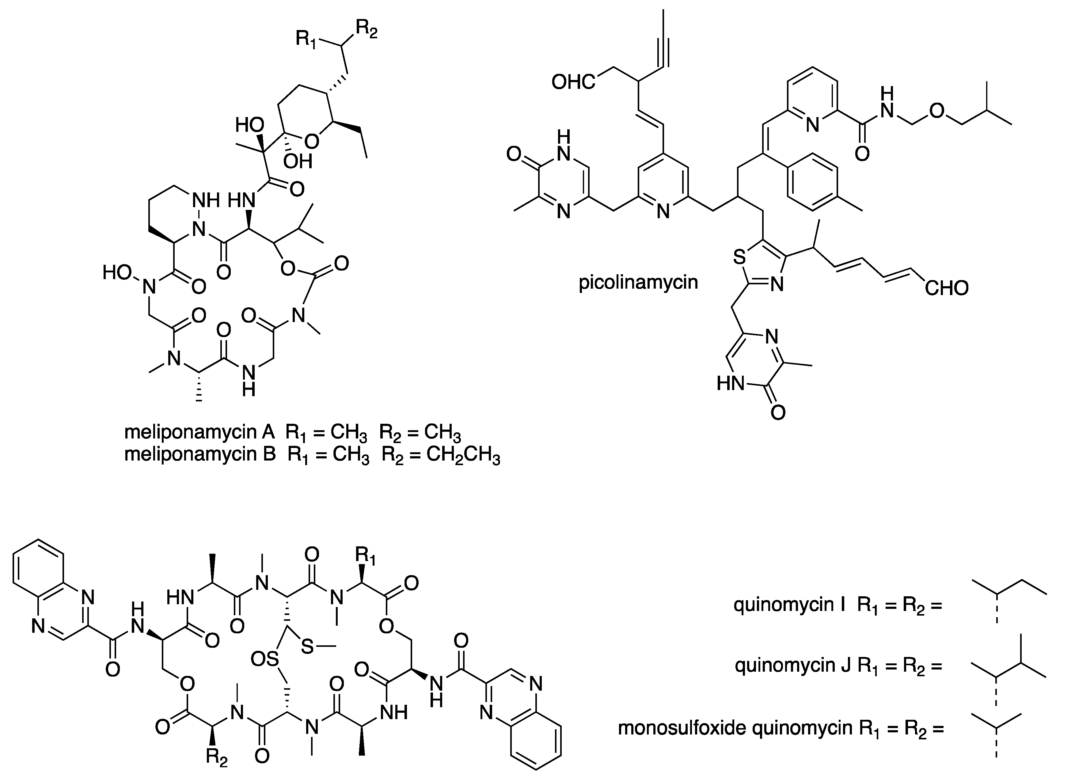 Microbiolres 13 00031 g005a