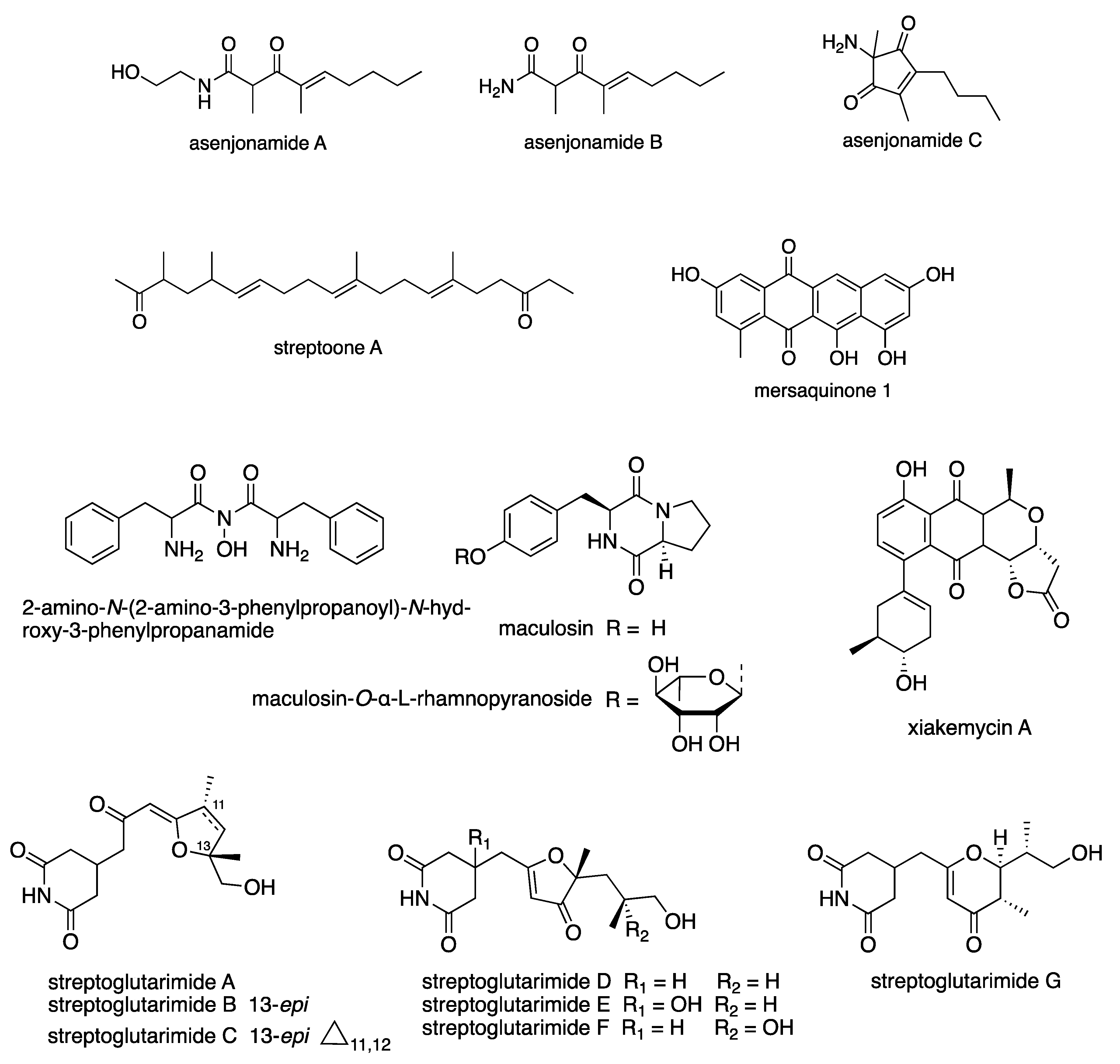 Microbiolres 13 00031 g005b