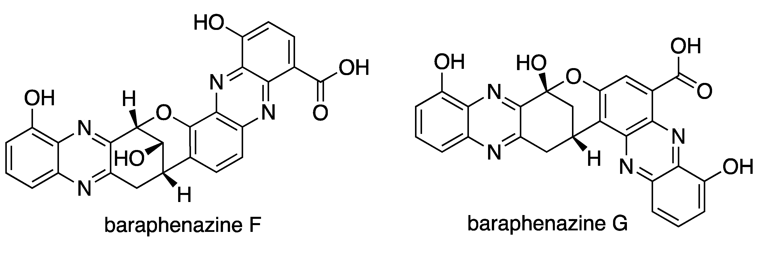 Microbiolres 13 00031 g008a