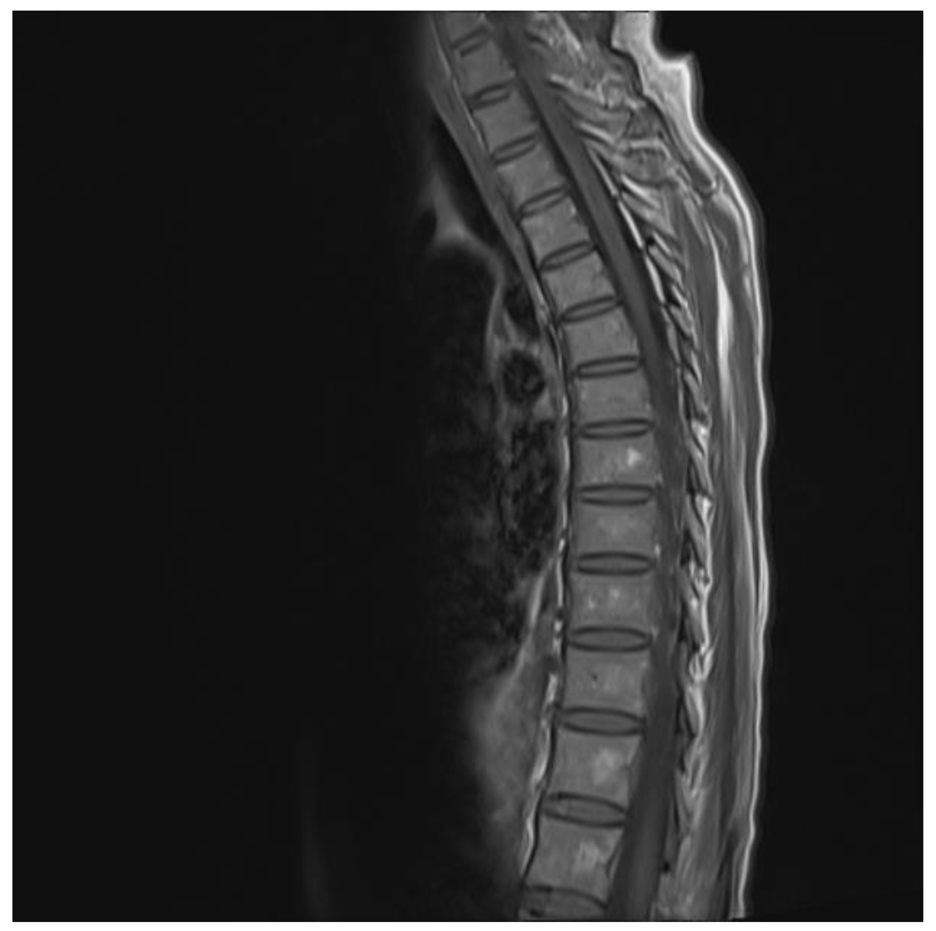 Microbiolres 13 00036 g002