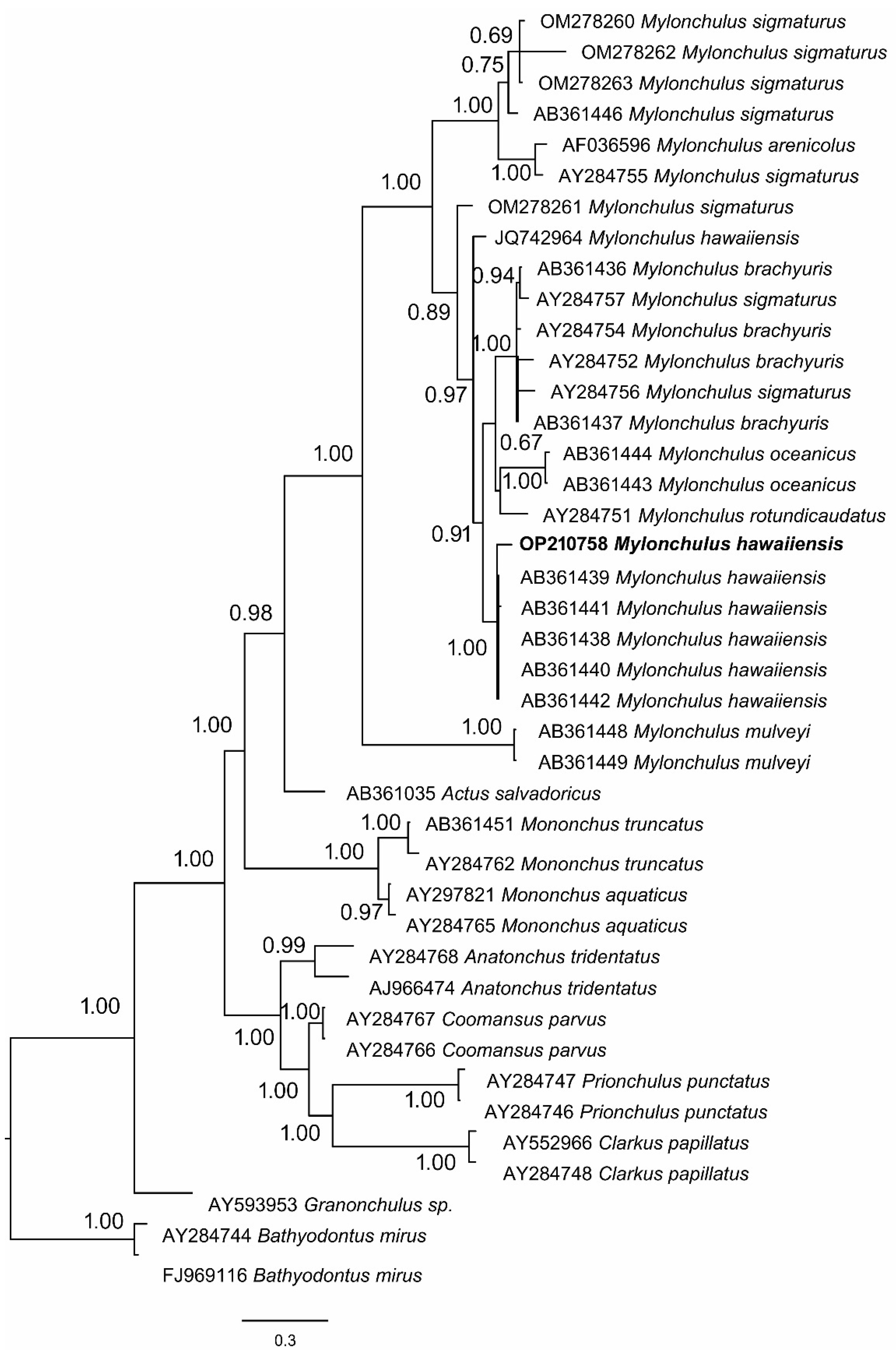Microbiolres 13 00047 g002