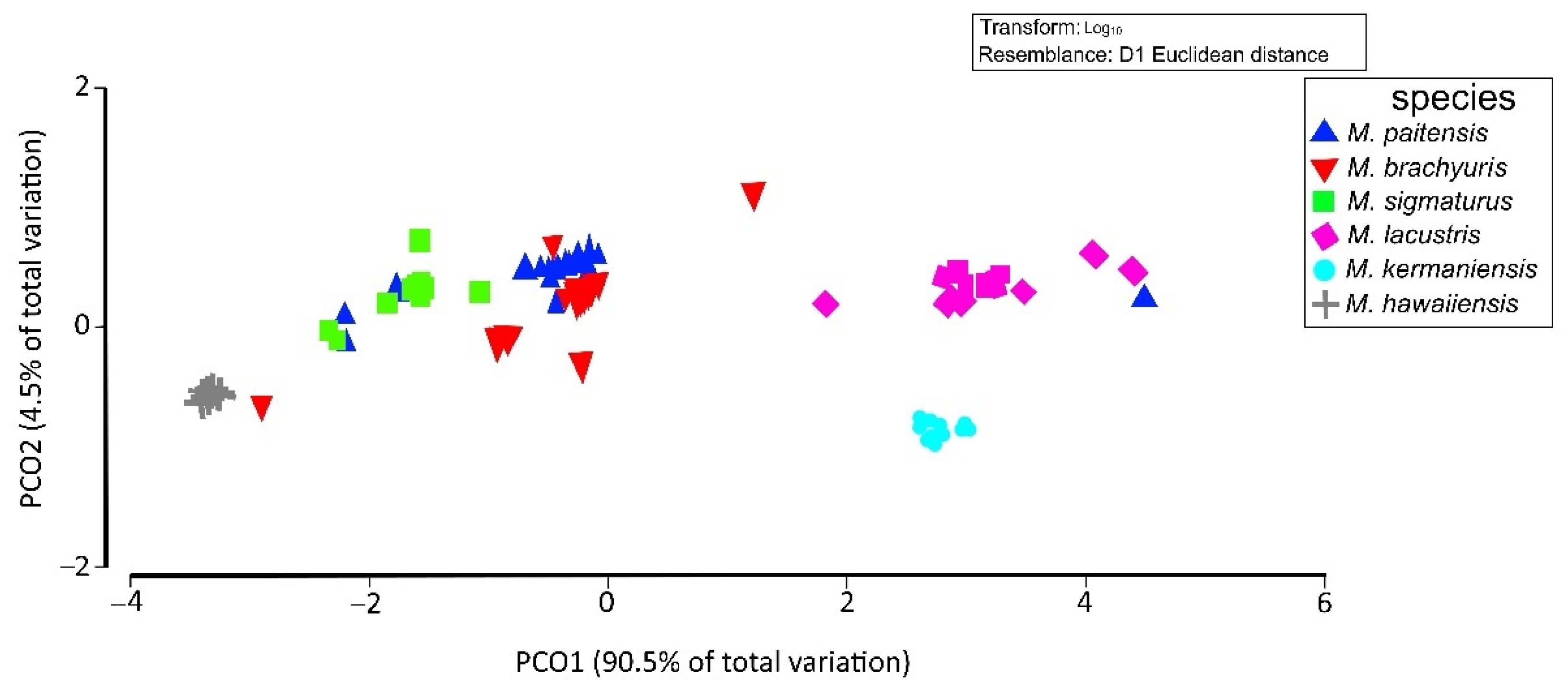 Microbiolres 13 00047 g006