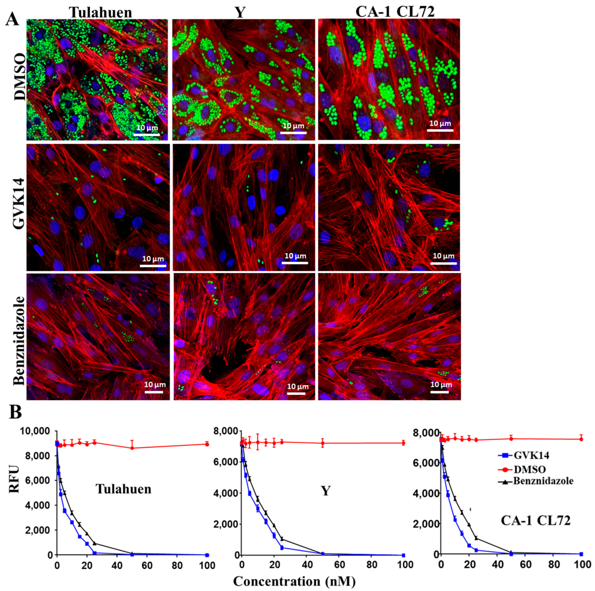 Microbiolres 13 00052 g004
