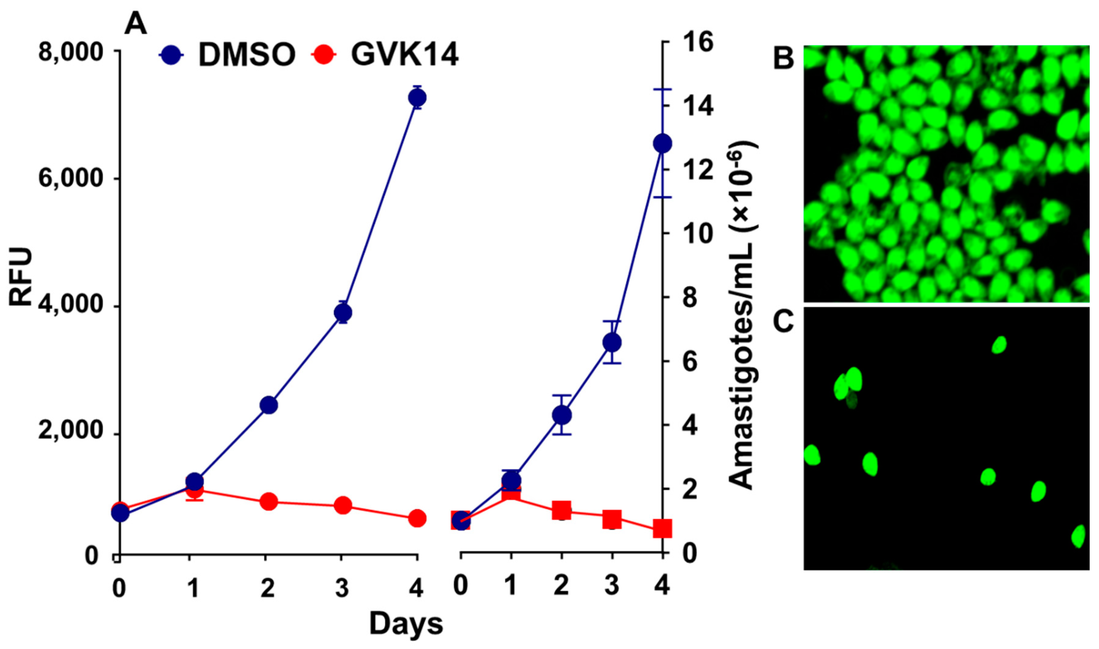 Microbiolres 13 00052 g005