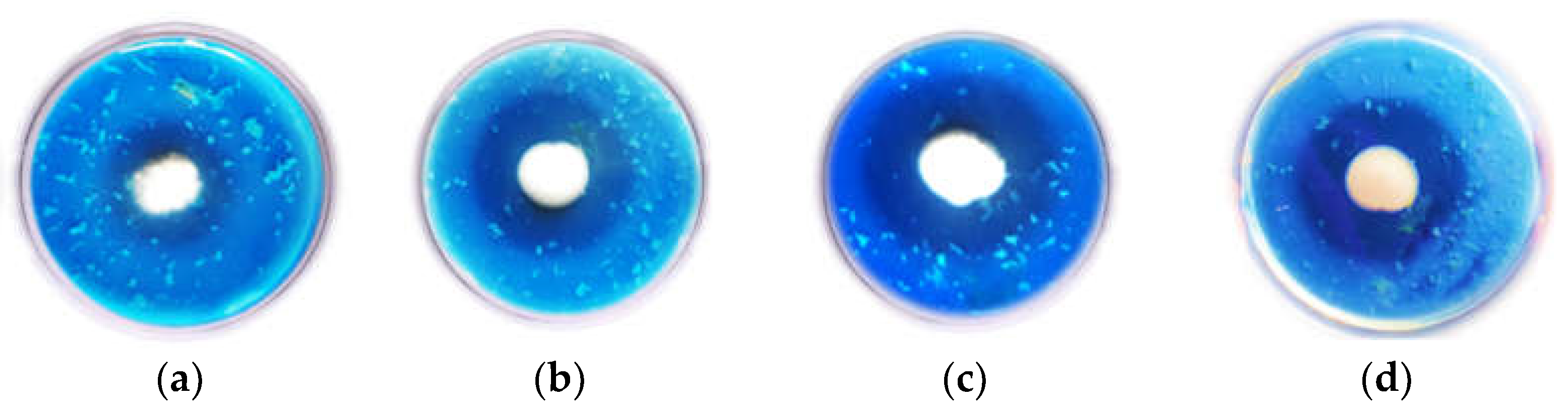 Microbiolres 13 00063 g003