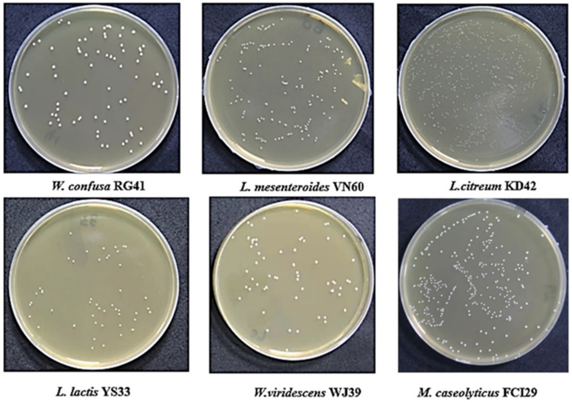 Microbiolres 13 00067 g001 Microbiolres 13 00067 g001