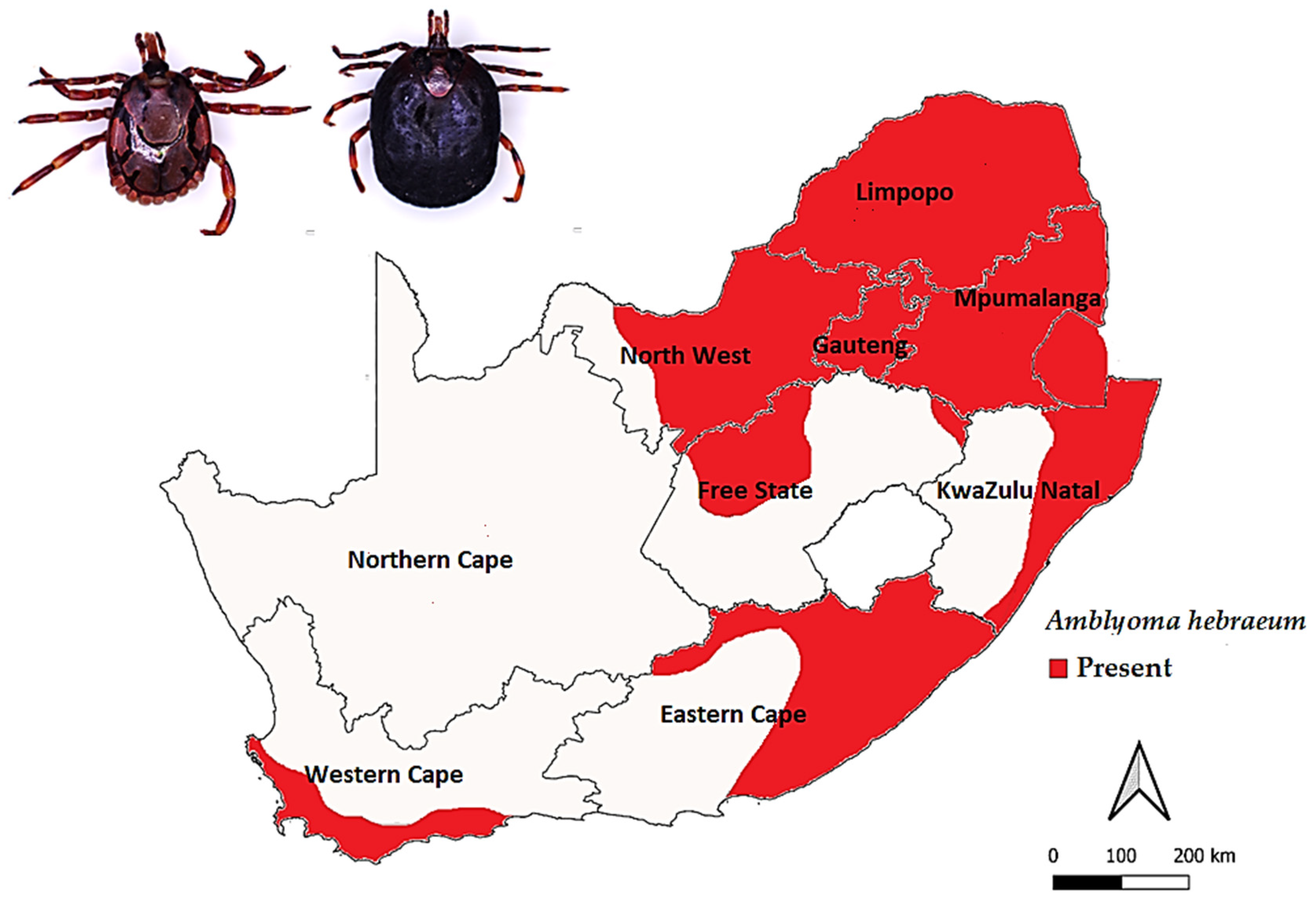 Microbiolres 14 00004 g001