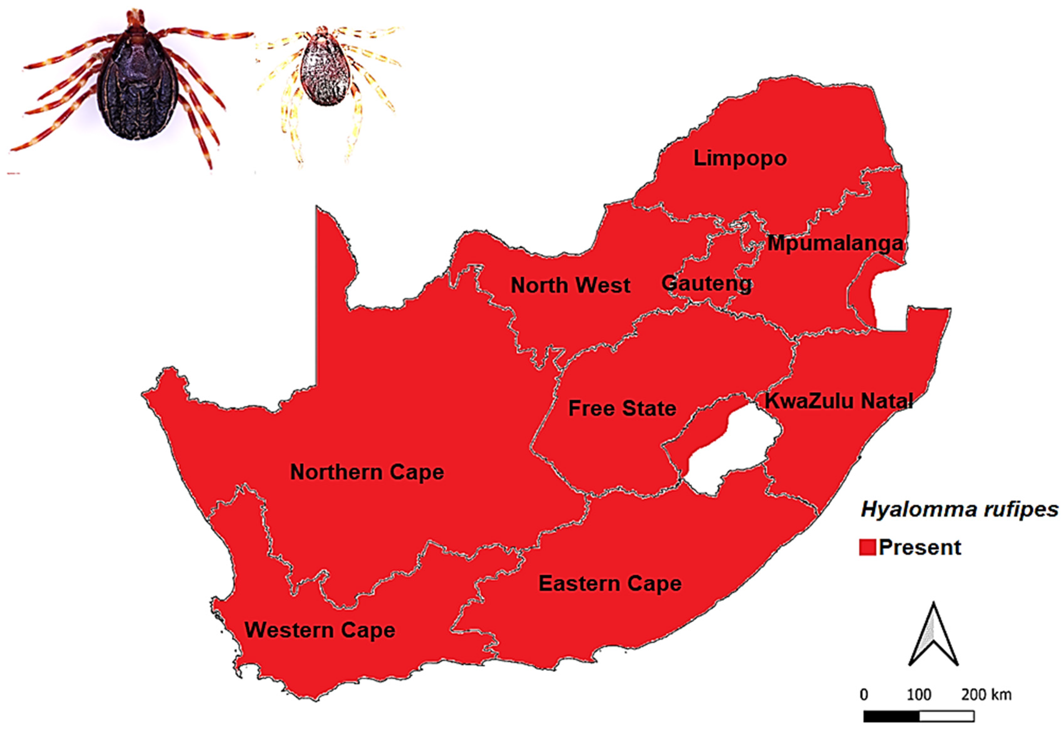 Microbiolres 14 00004 g003