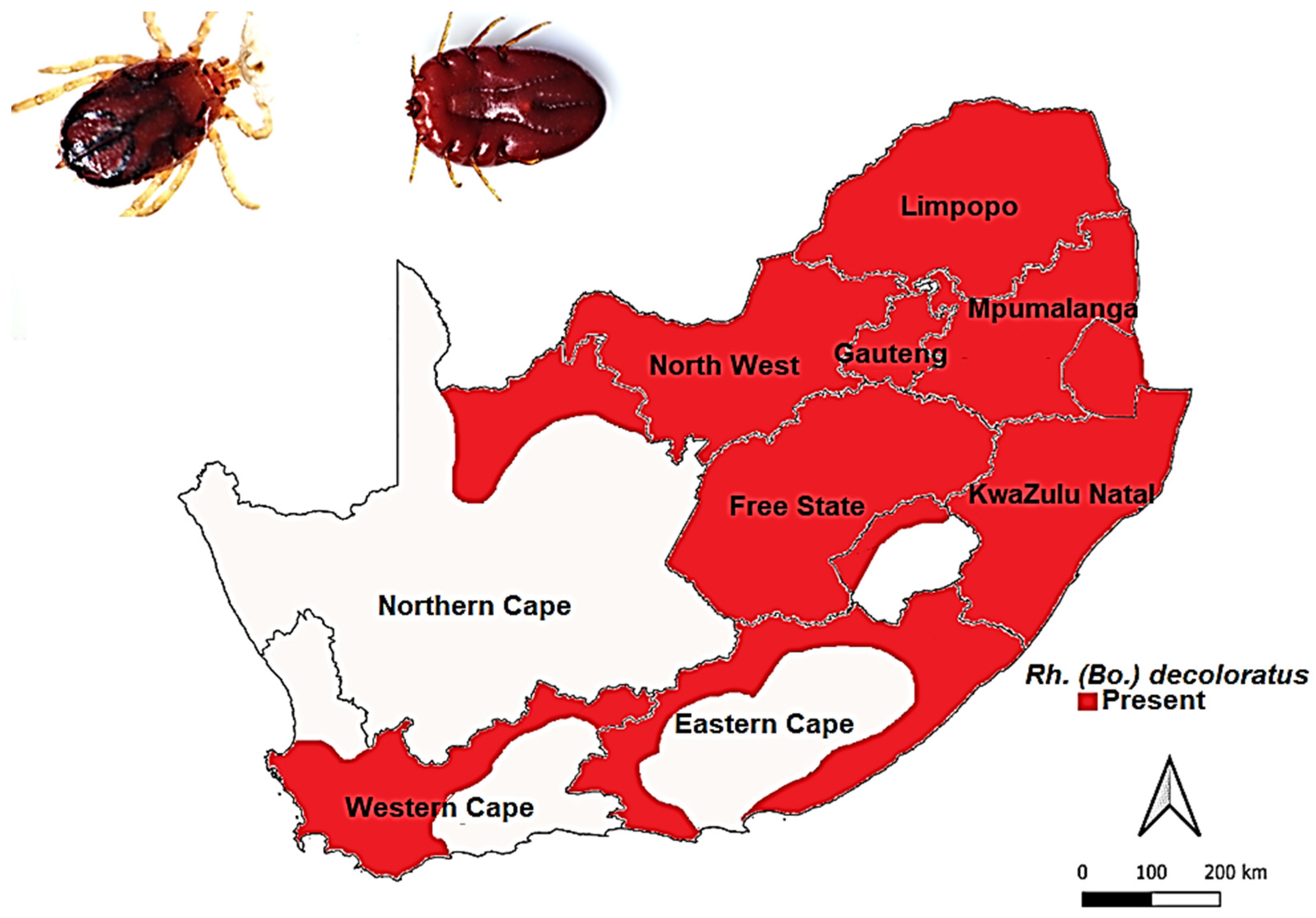 Microbiolres 14 00004 g005