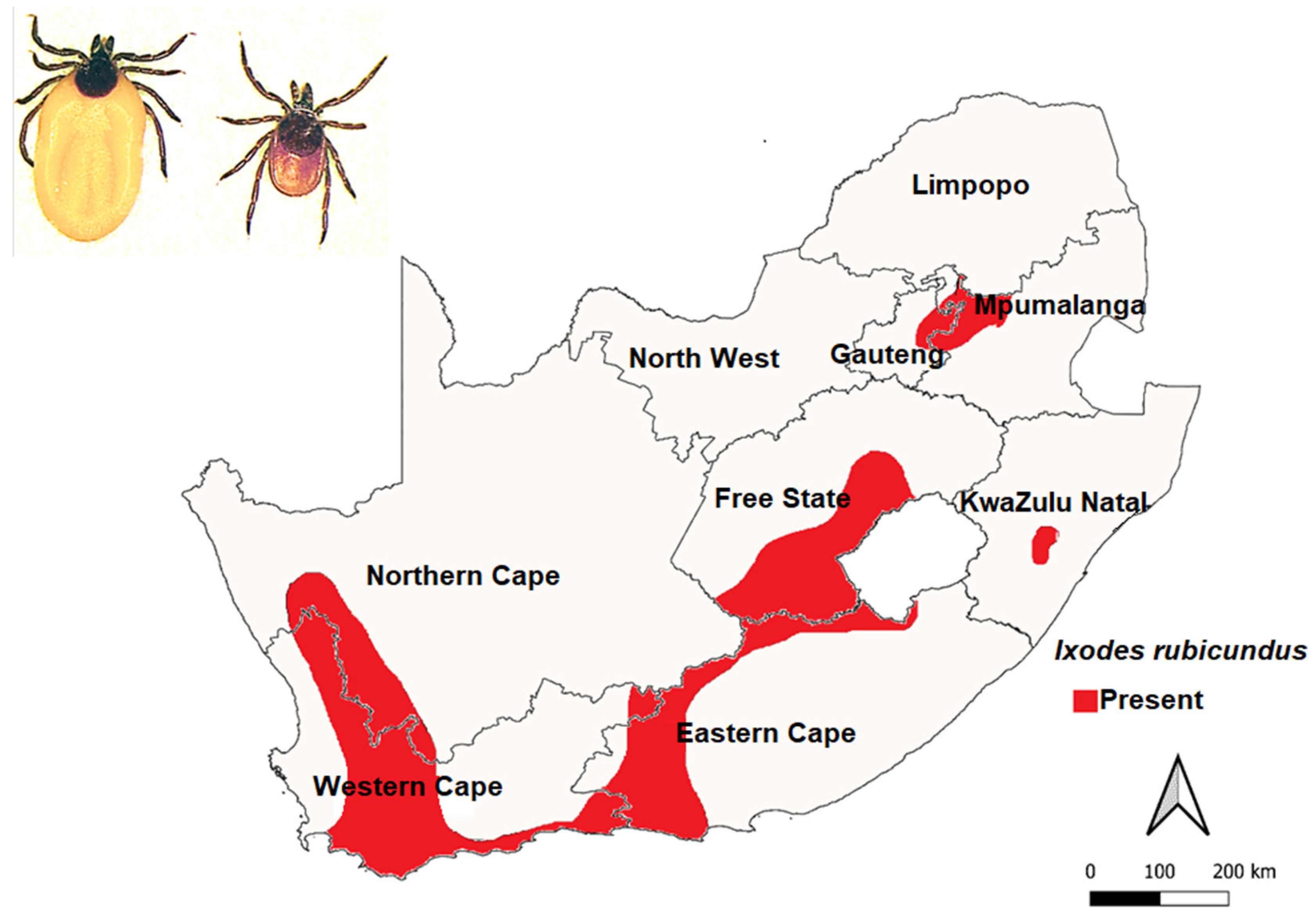 Microbiolres 14 00004 g008
