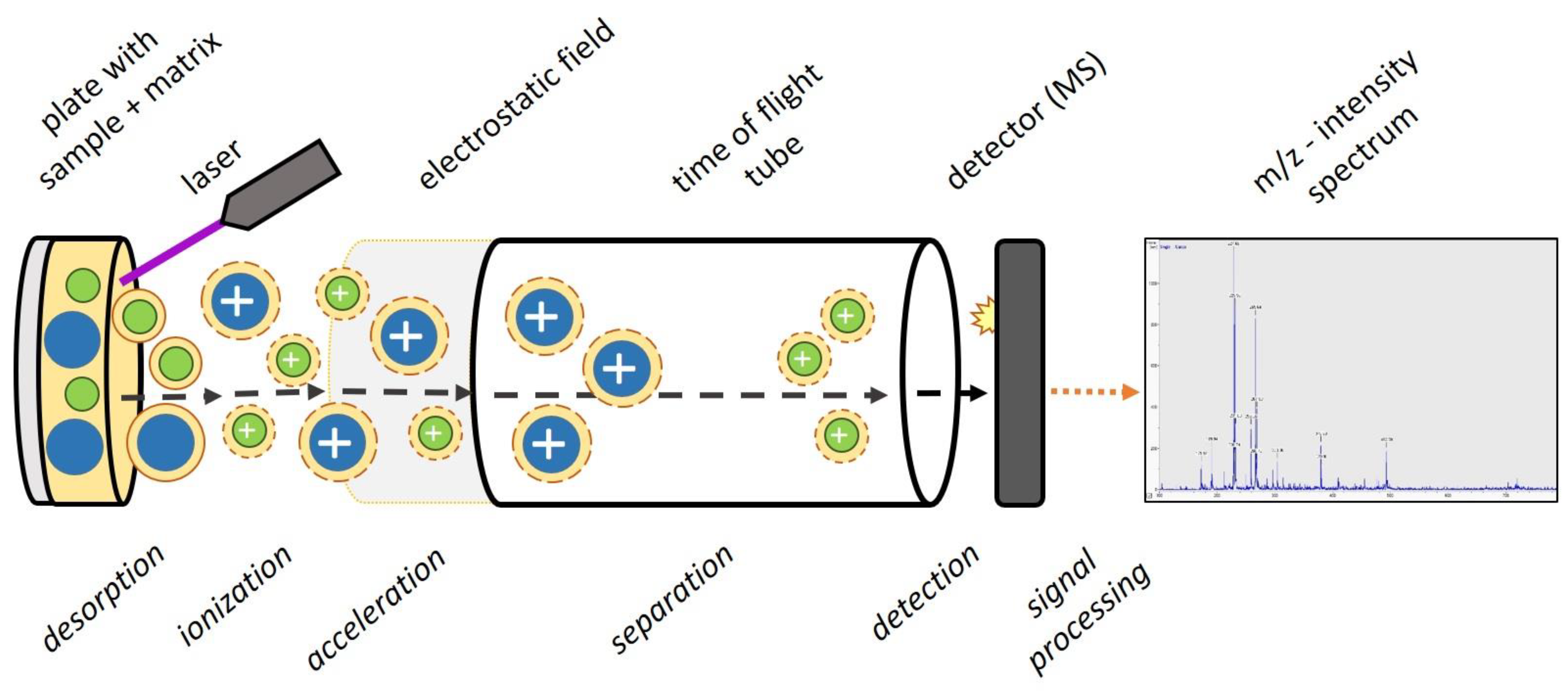Microbiolres 14 00008 g001