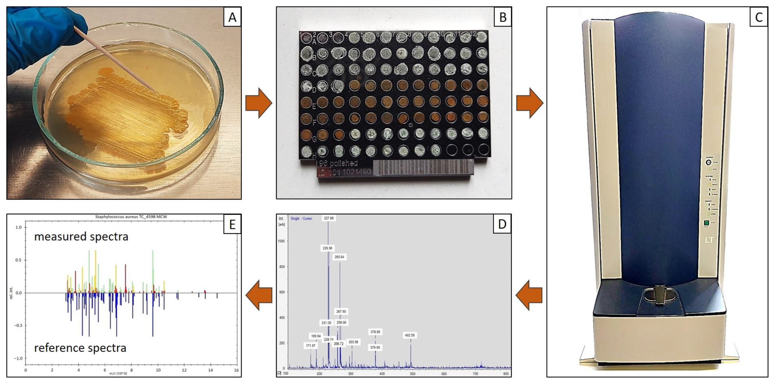 Microbiolres 14 00008 g002