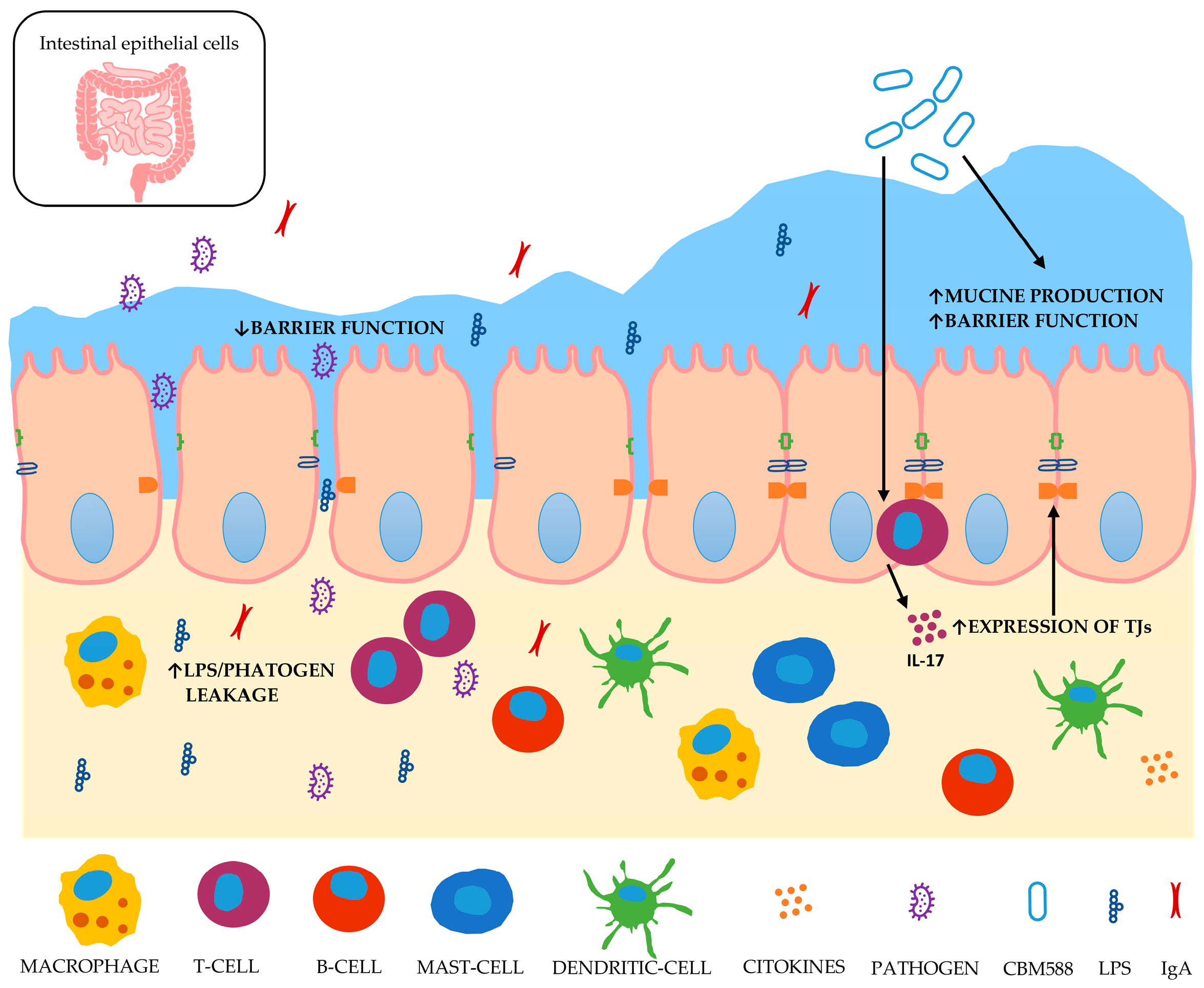 Microbiolres 14 00036 g002