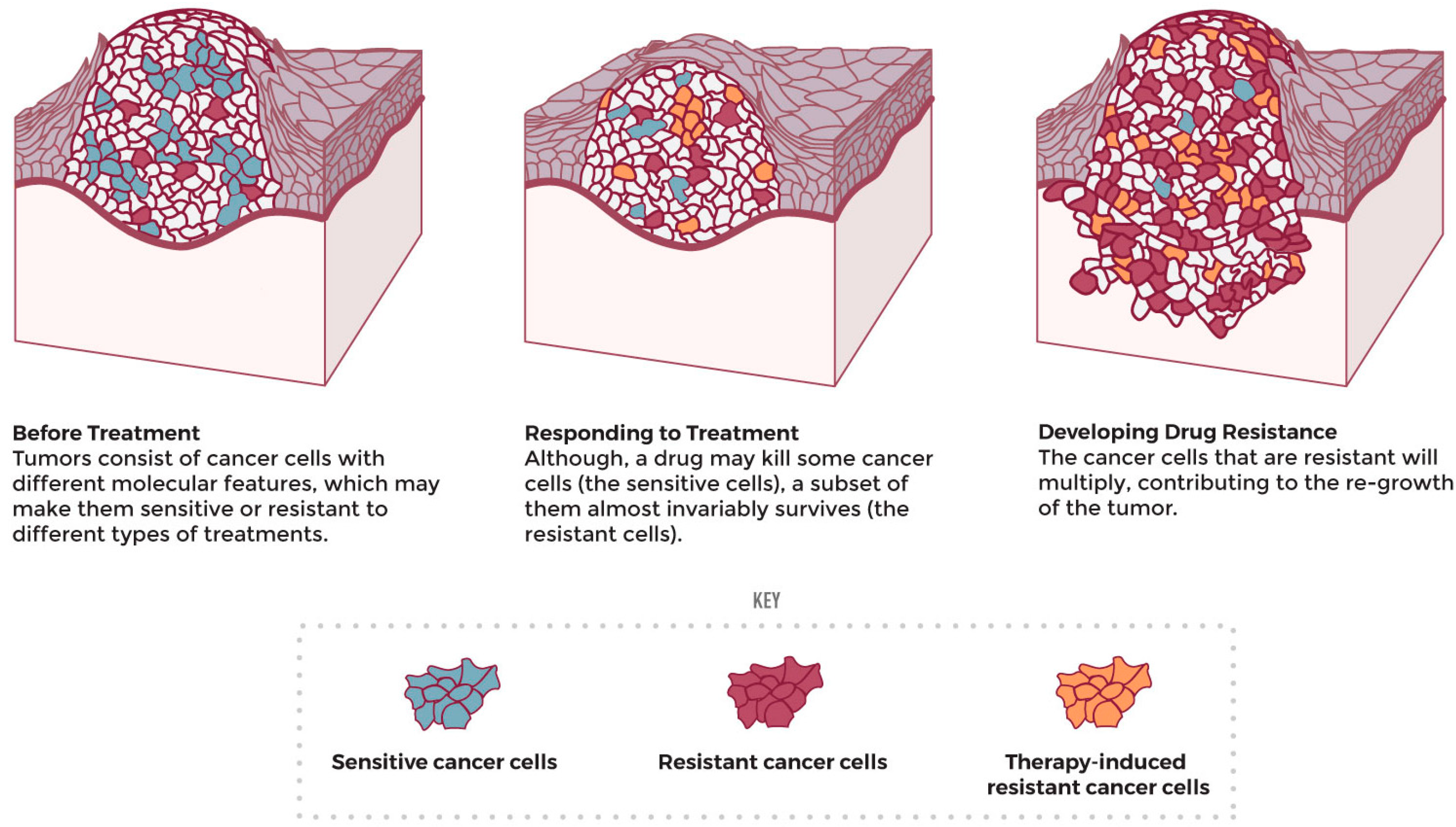 Microbiolres 14 00037 g006