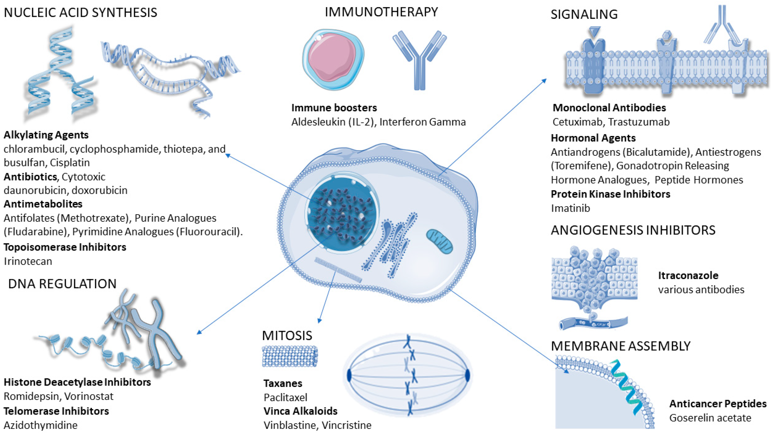 Microbiolres 14 00037 g007