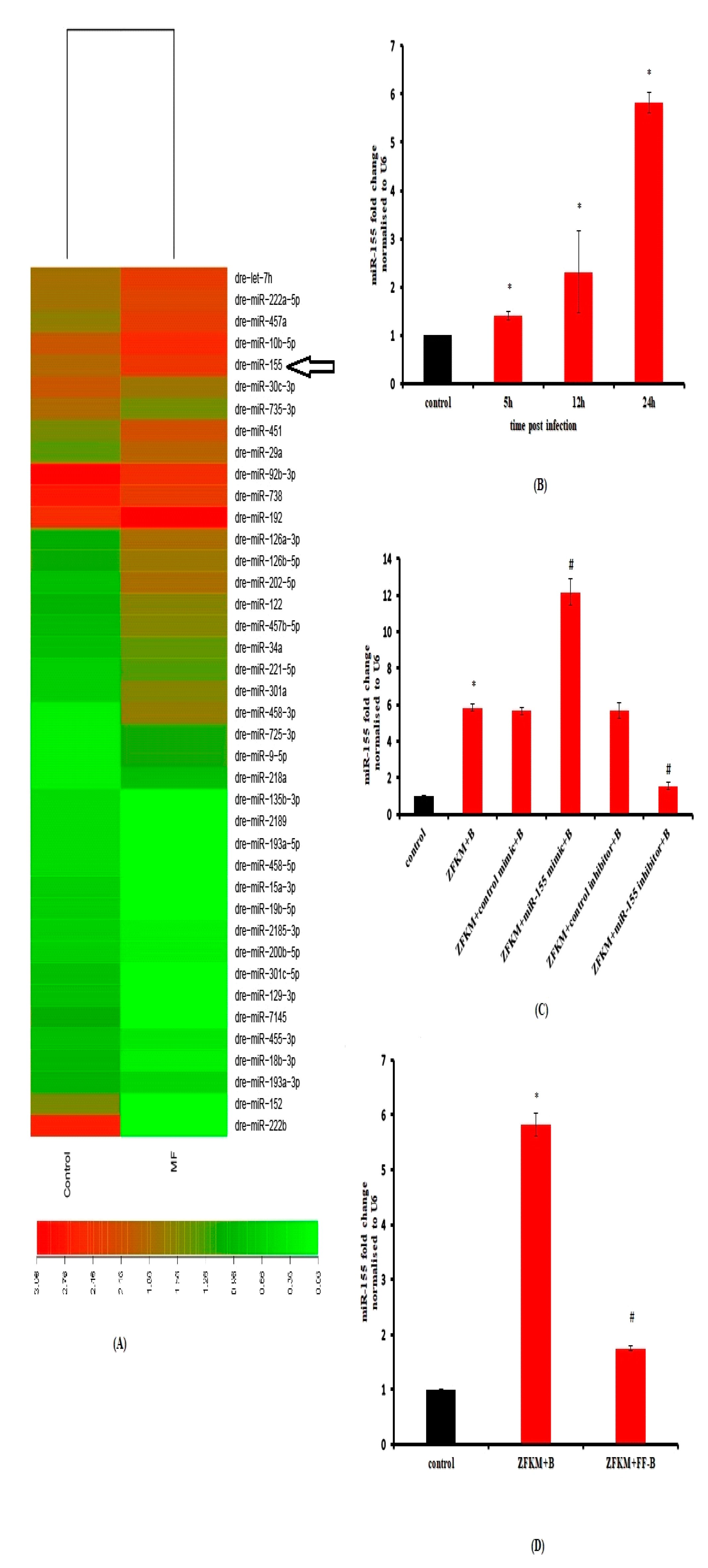 Microbiolres 14 00039 g002