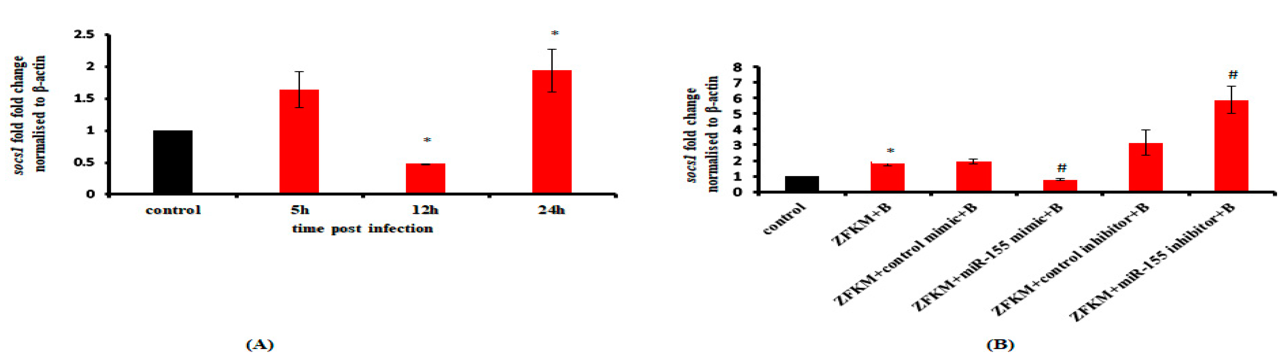 Microbiolres 14 00039 g006