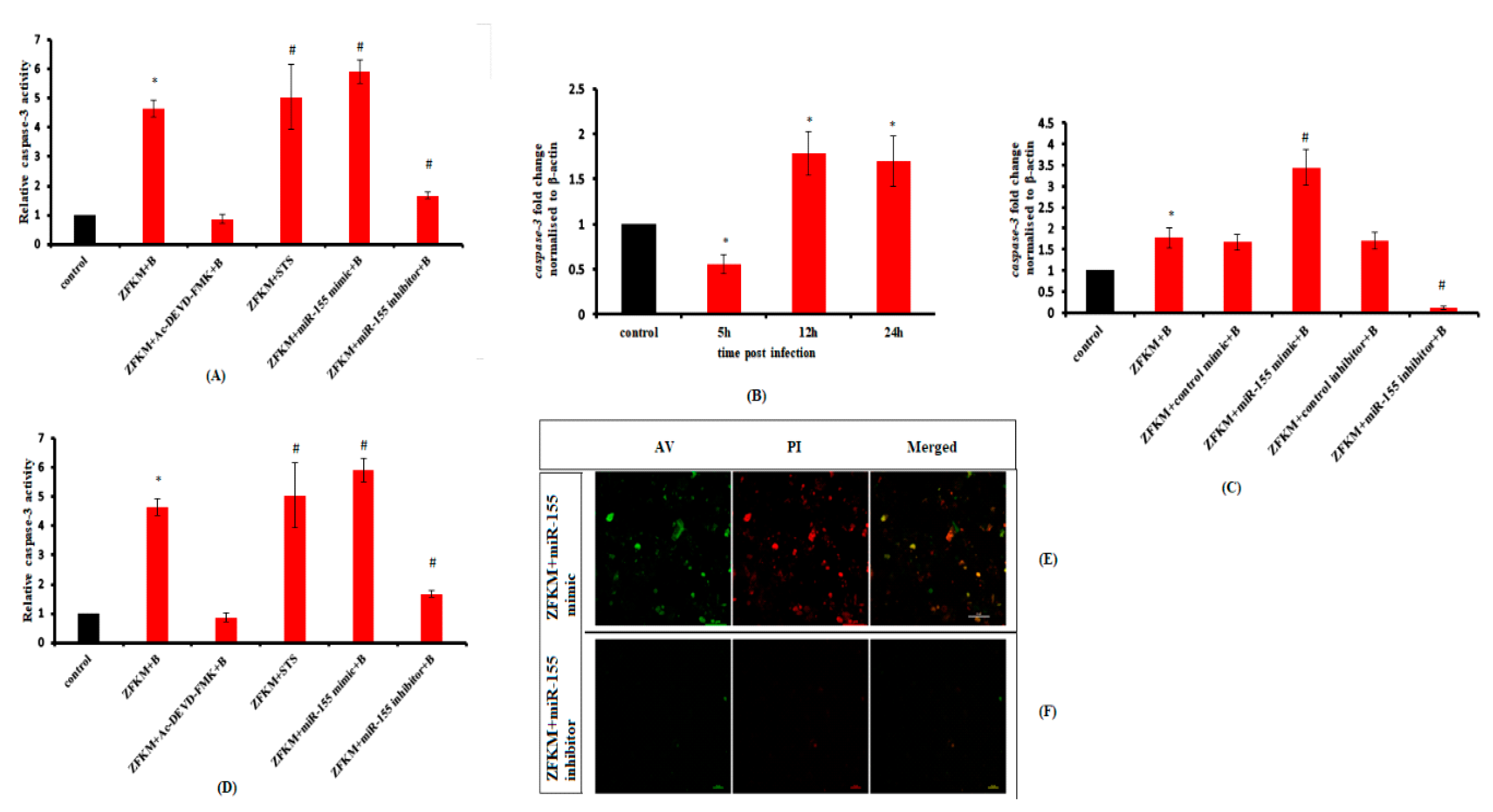 Microbiolres 14 00039 g007